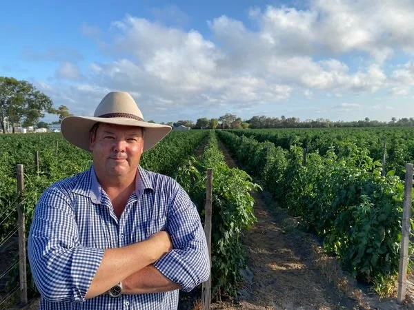 Labor’s Backpacker Attack Will Leave Local Farms Scrambling