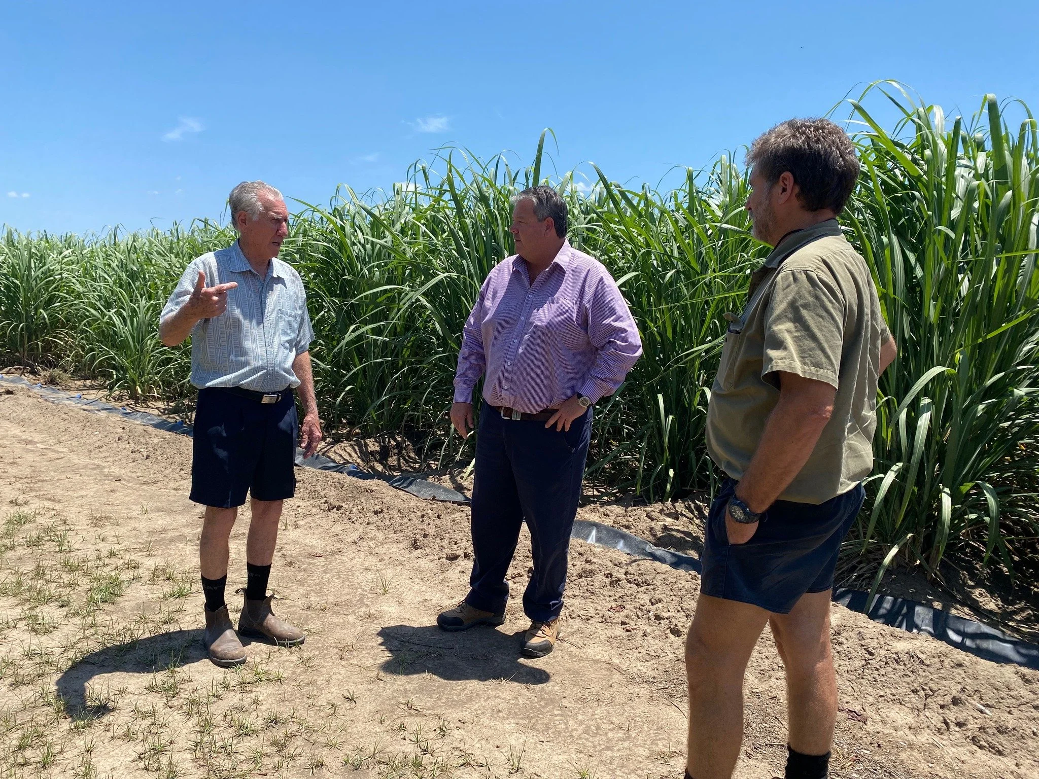 LOCAL FARMERS URGED TO HELP STOP LABOR’S FRESH FOOD TAX