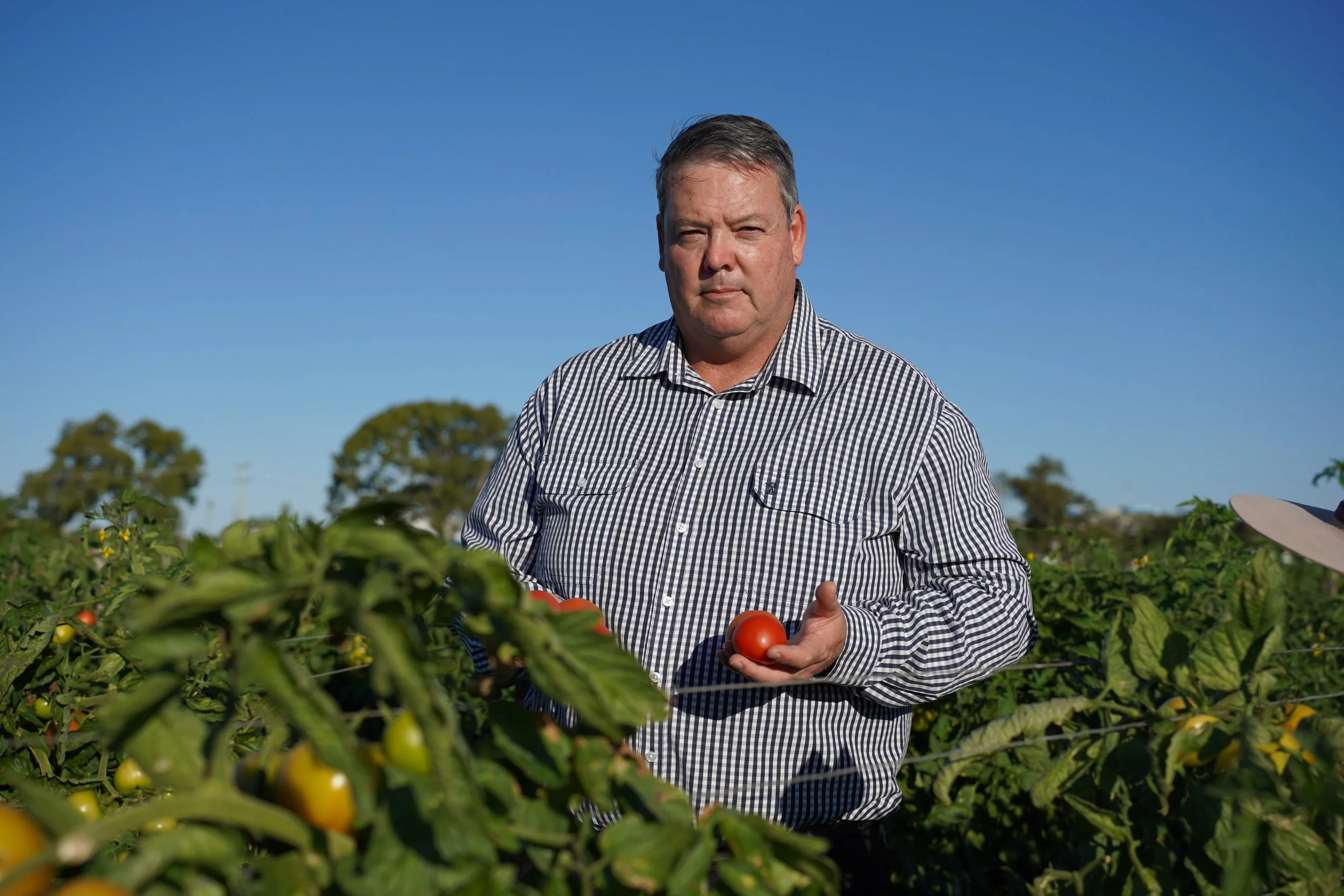 THE NATIONALS FIGHT LABOR’S FRESH FOOD TAX IN SENATE INQUIRY