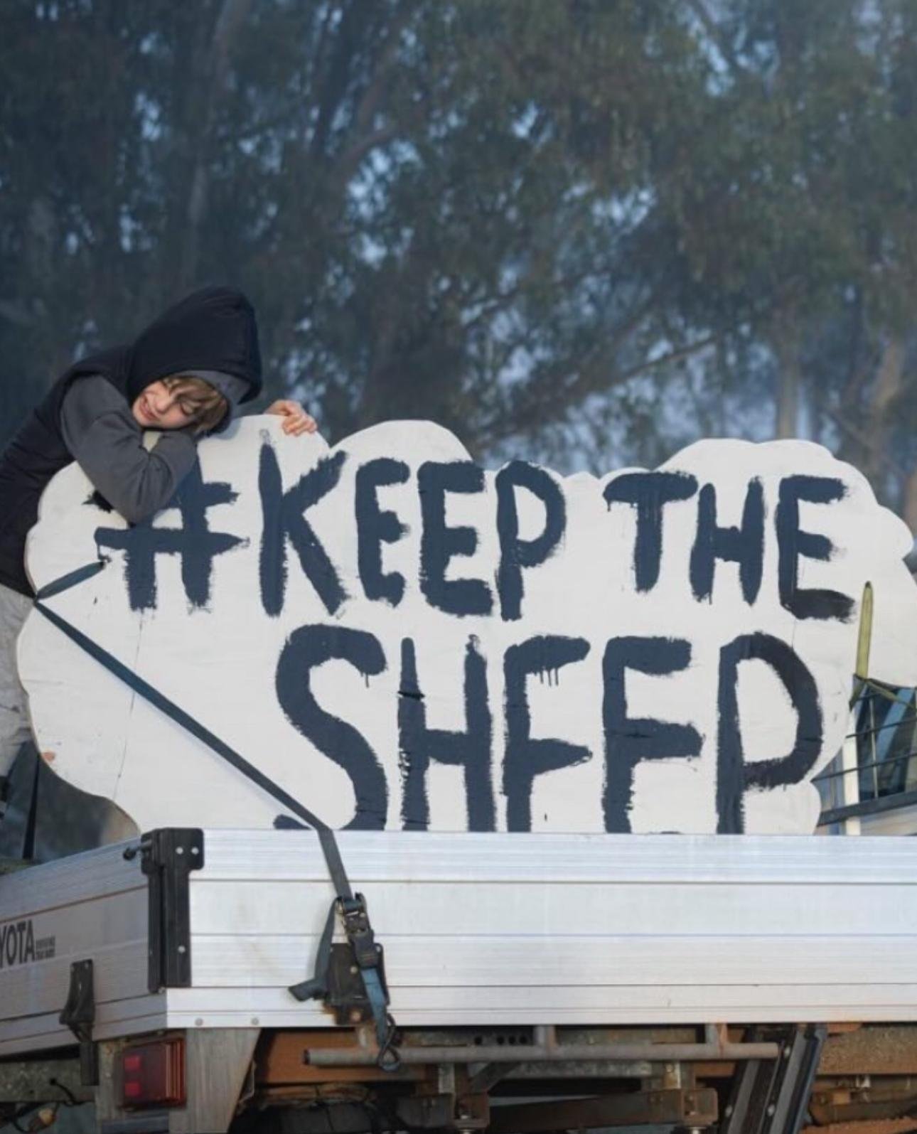 RUSH TO BAN LIVE EXPORT A FLOCKING DISGRACE