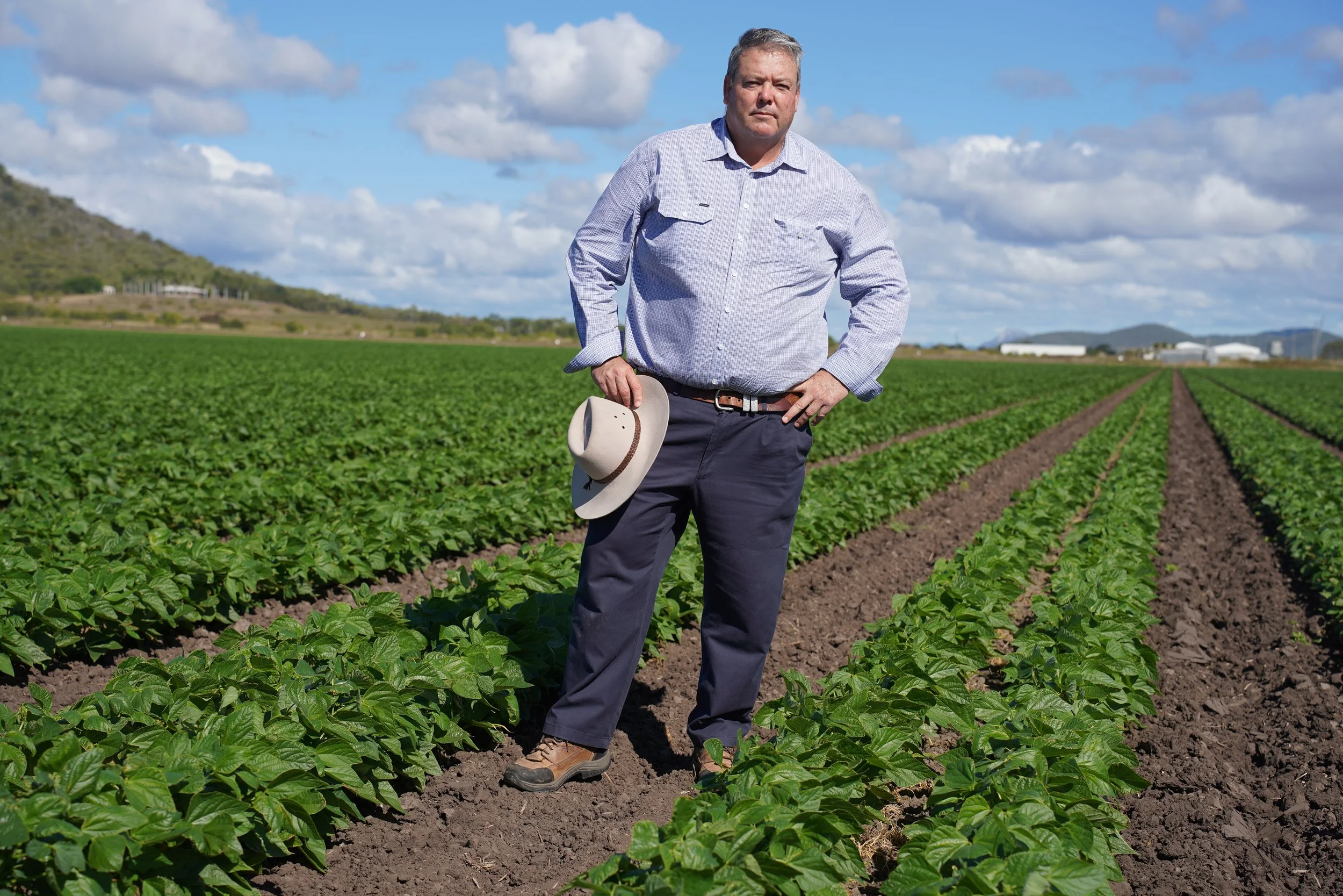 ORGANICS SENATE INQUIRY
