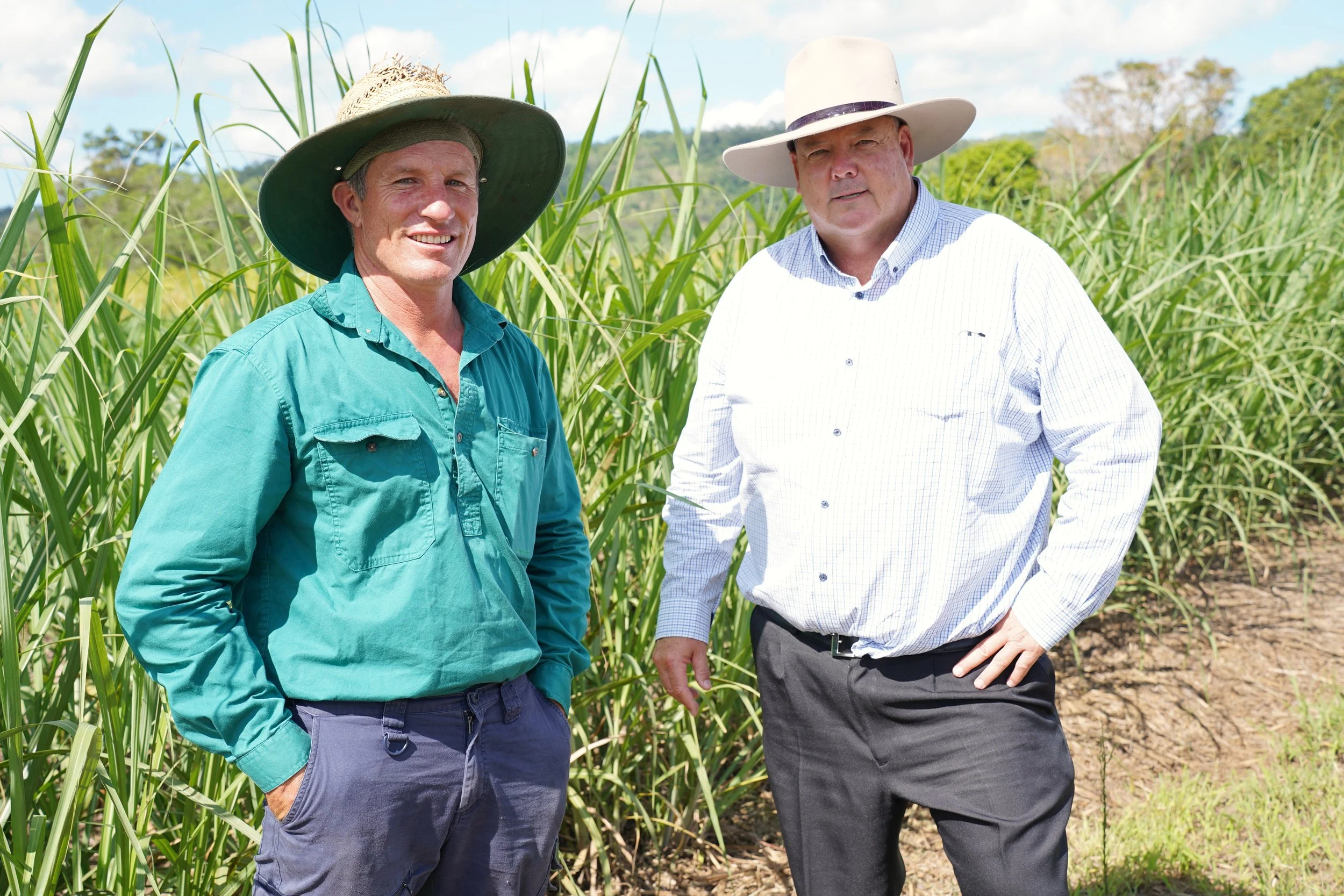 When Energy is Unaffordable, Everything is Unaffordable. Cane Farmer Peter Doyle on the Real Cost of Power