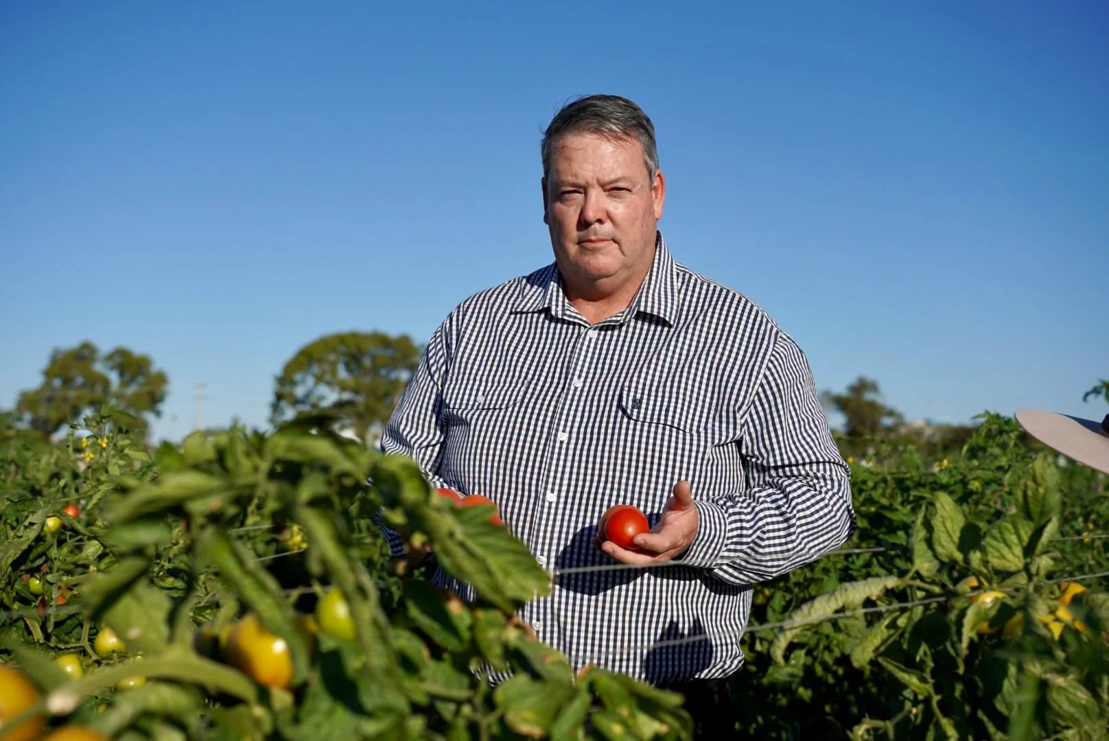 Labor’s backpacker crackdown will hurt the regions Australia relies on