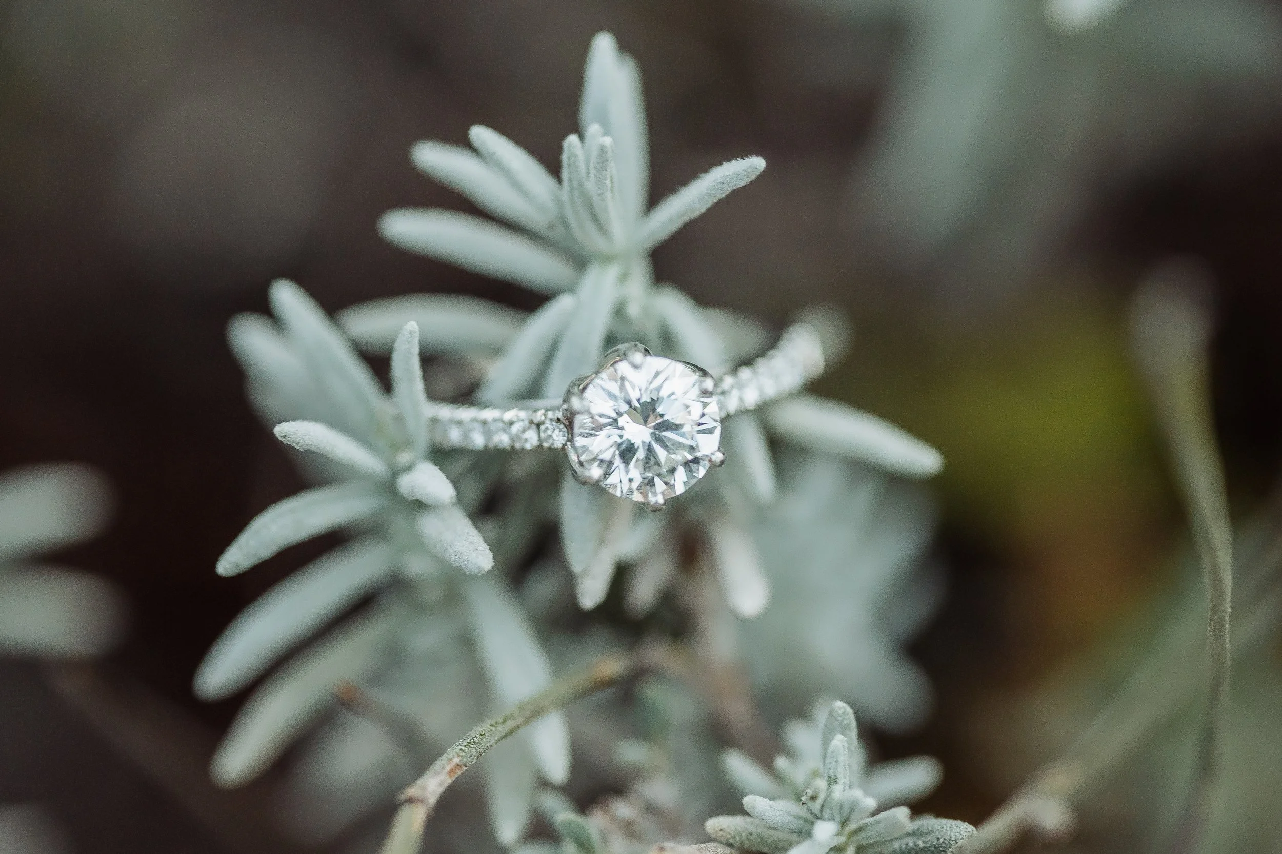 Gabby and Donovan's Engagement