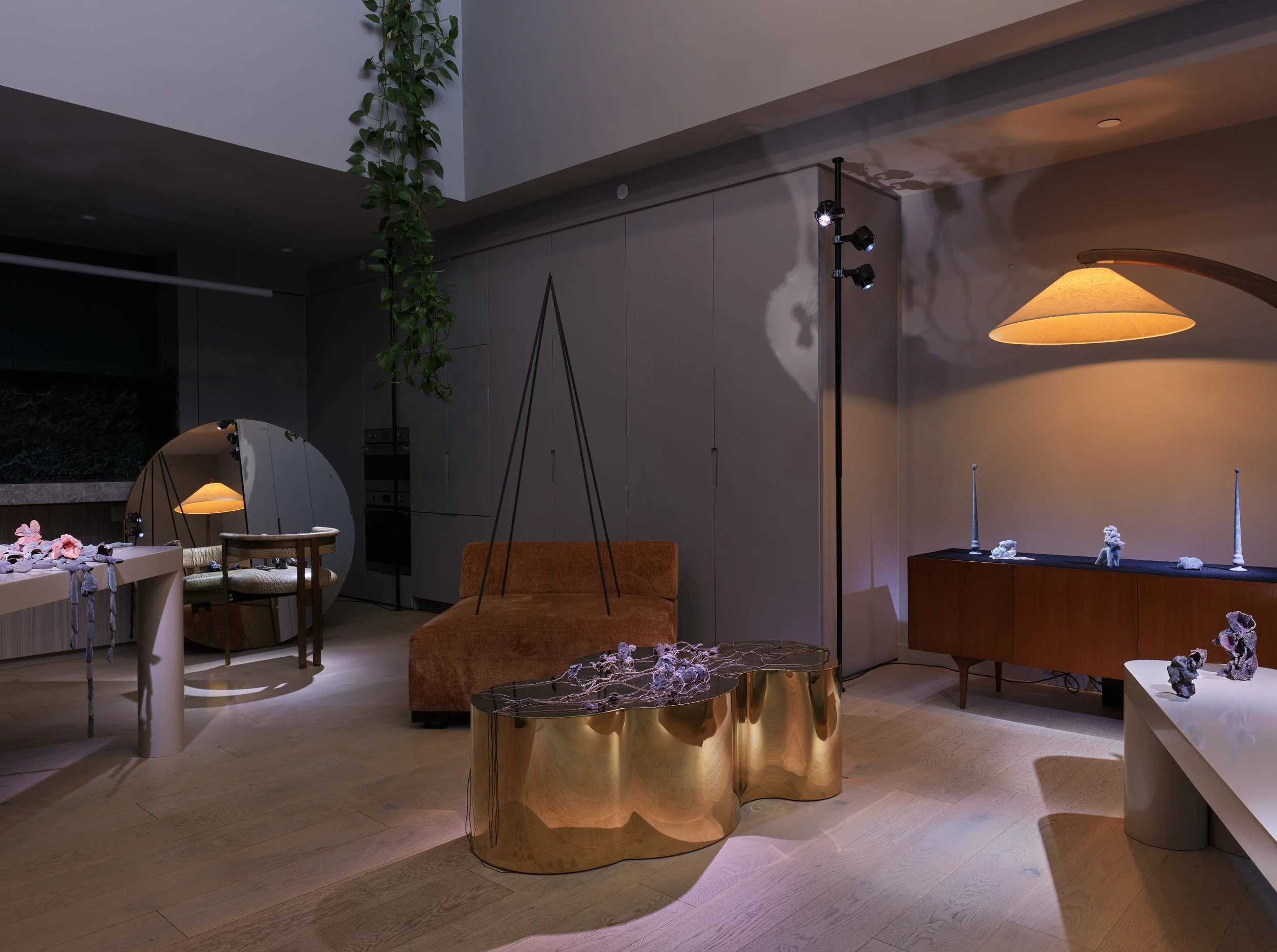 Familiars Video Document