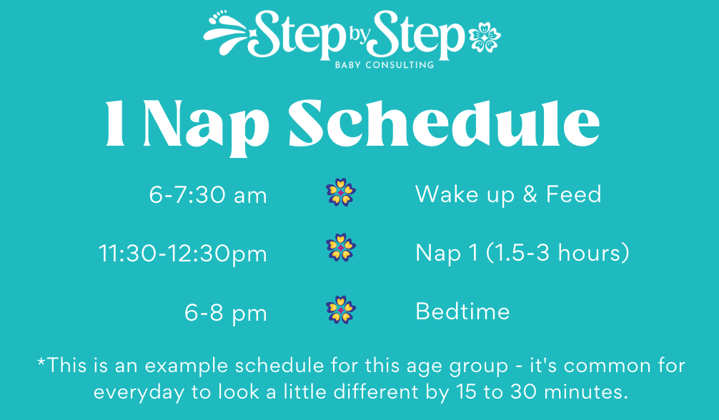 1 nap schedule