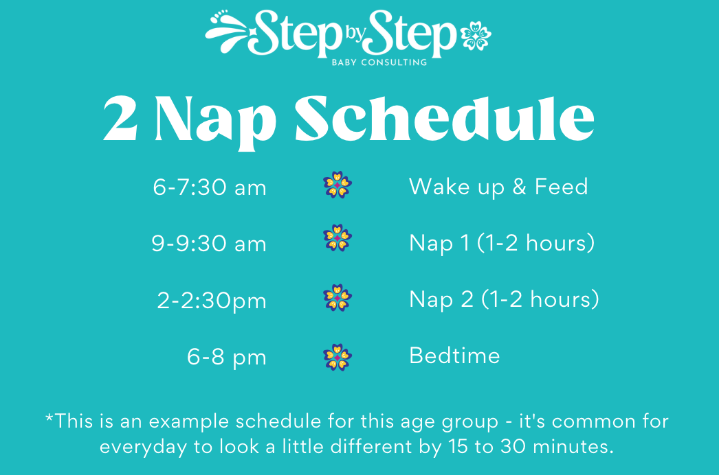 2 nap schedule