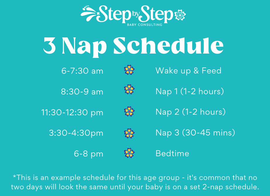 3 nap schedule