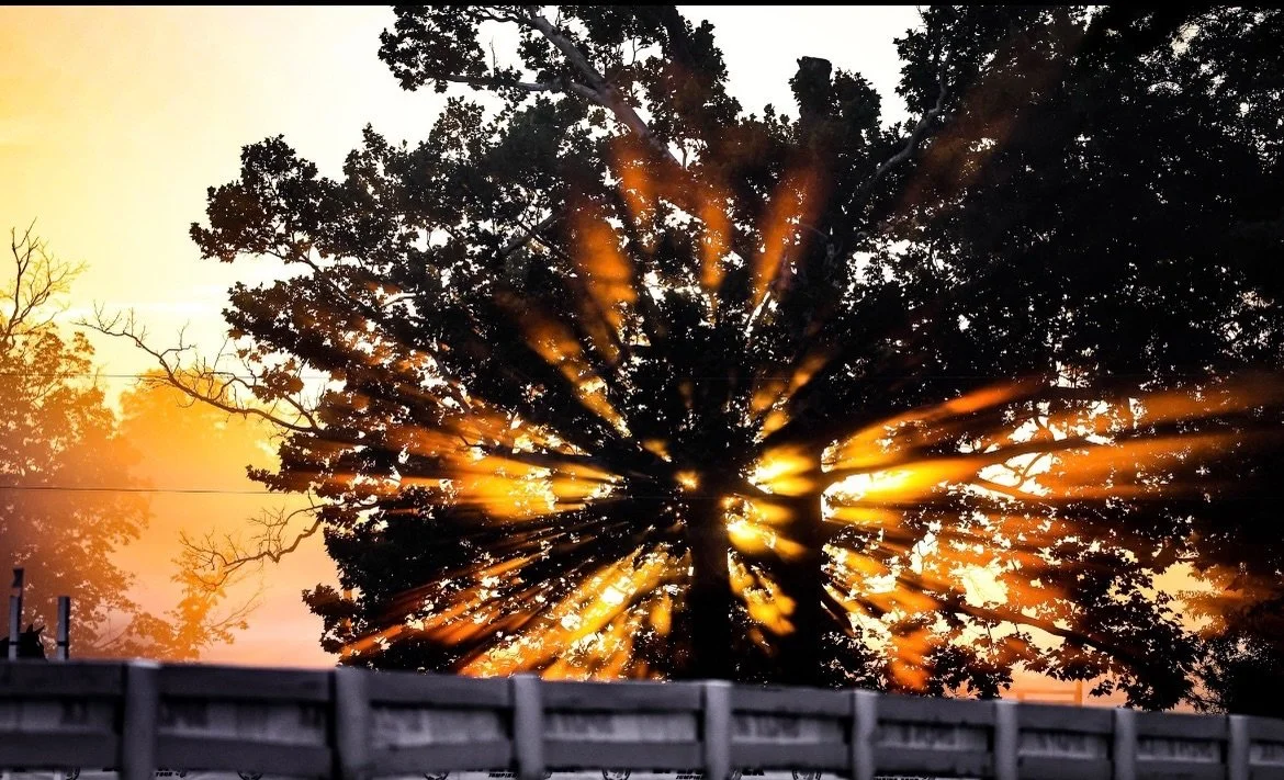 I think this is that kind of fire in the sky John Denver was talking about