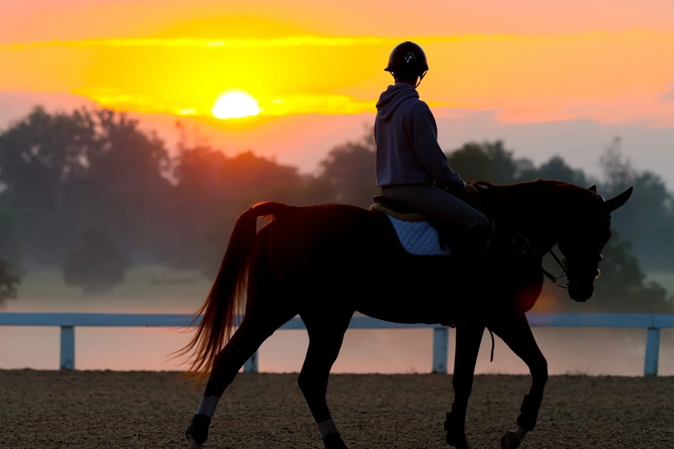 Another sunrise photo ☀️🐴