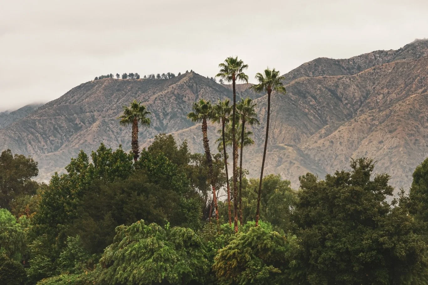 When I took the photo I immediately thought Jurassic Park&hellip;so I turned it into Jurassic Park🦖📸 🦕