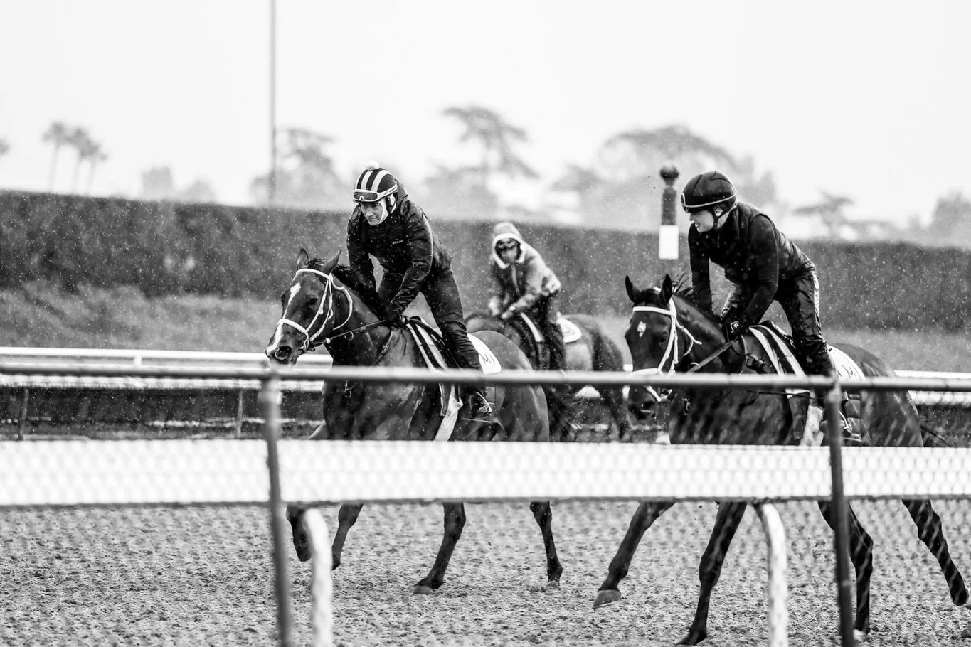 Just a few fun shots from Cali 🏇