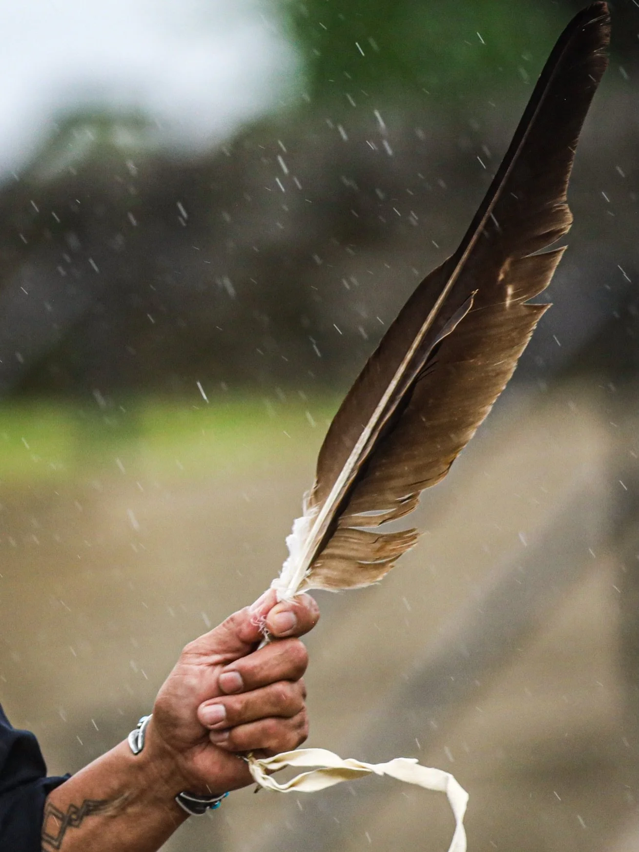A feather is a symbol we have seen again and again across human history.

From the ancient Egyptians, who associated feathers with truth, to Celtic traditions that viewed them as connections between worlds, to Christian symbolism of faith and divine 