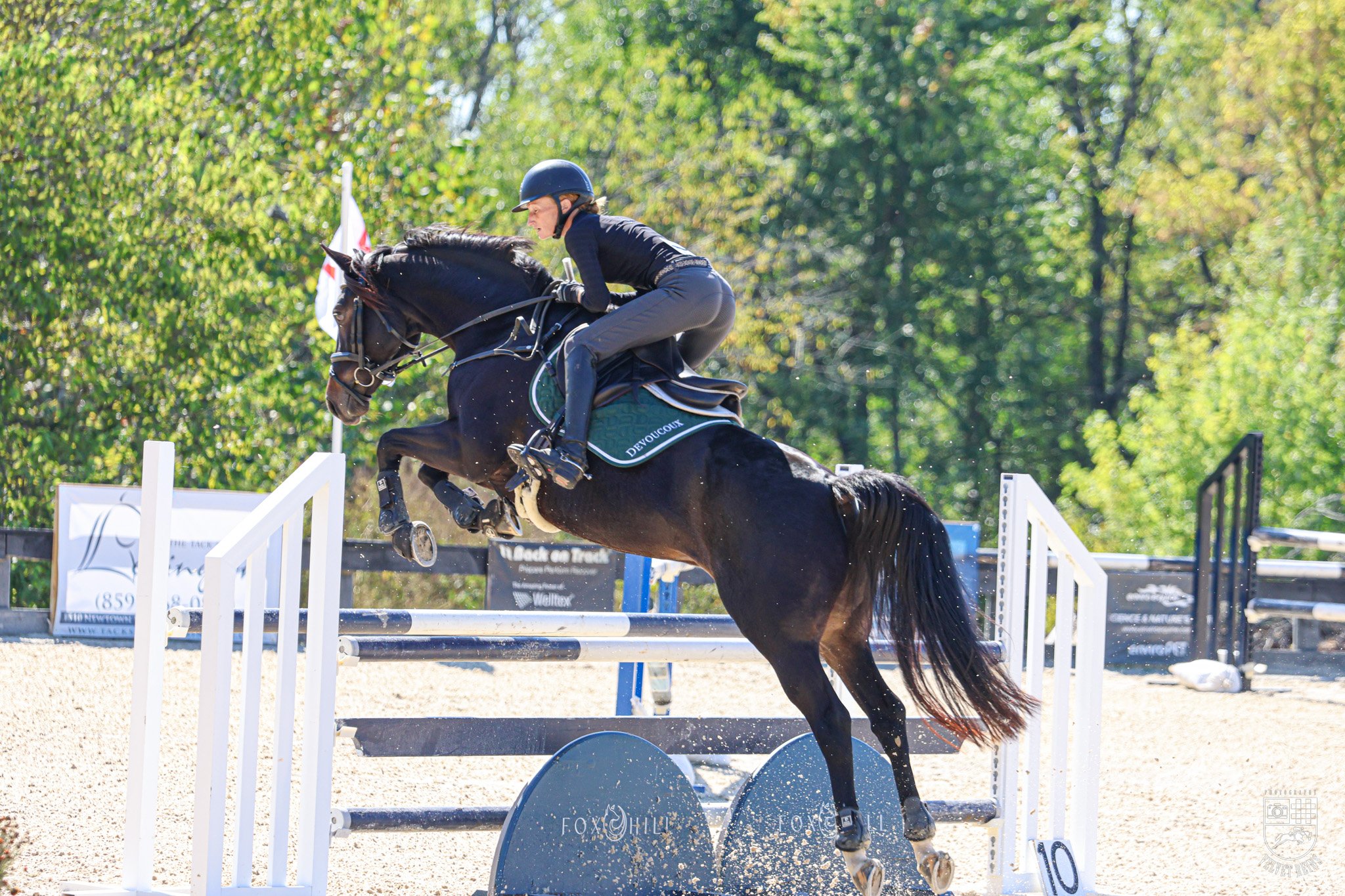 foxhill-3349.jpg