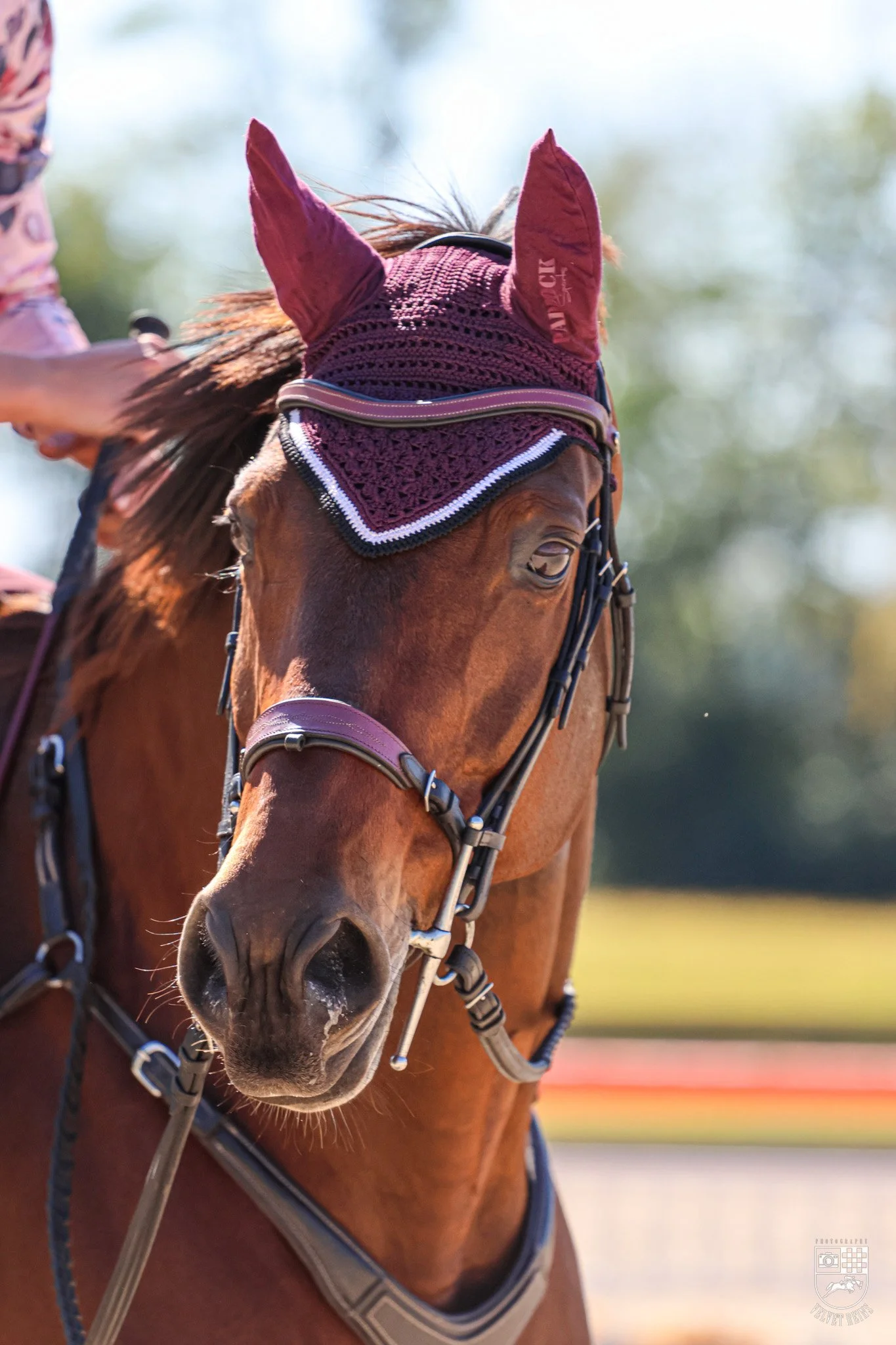 foxhill-2999.jpg