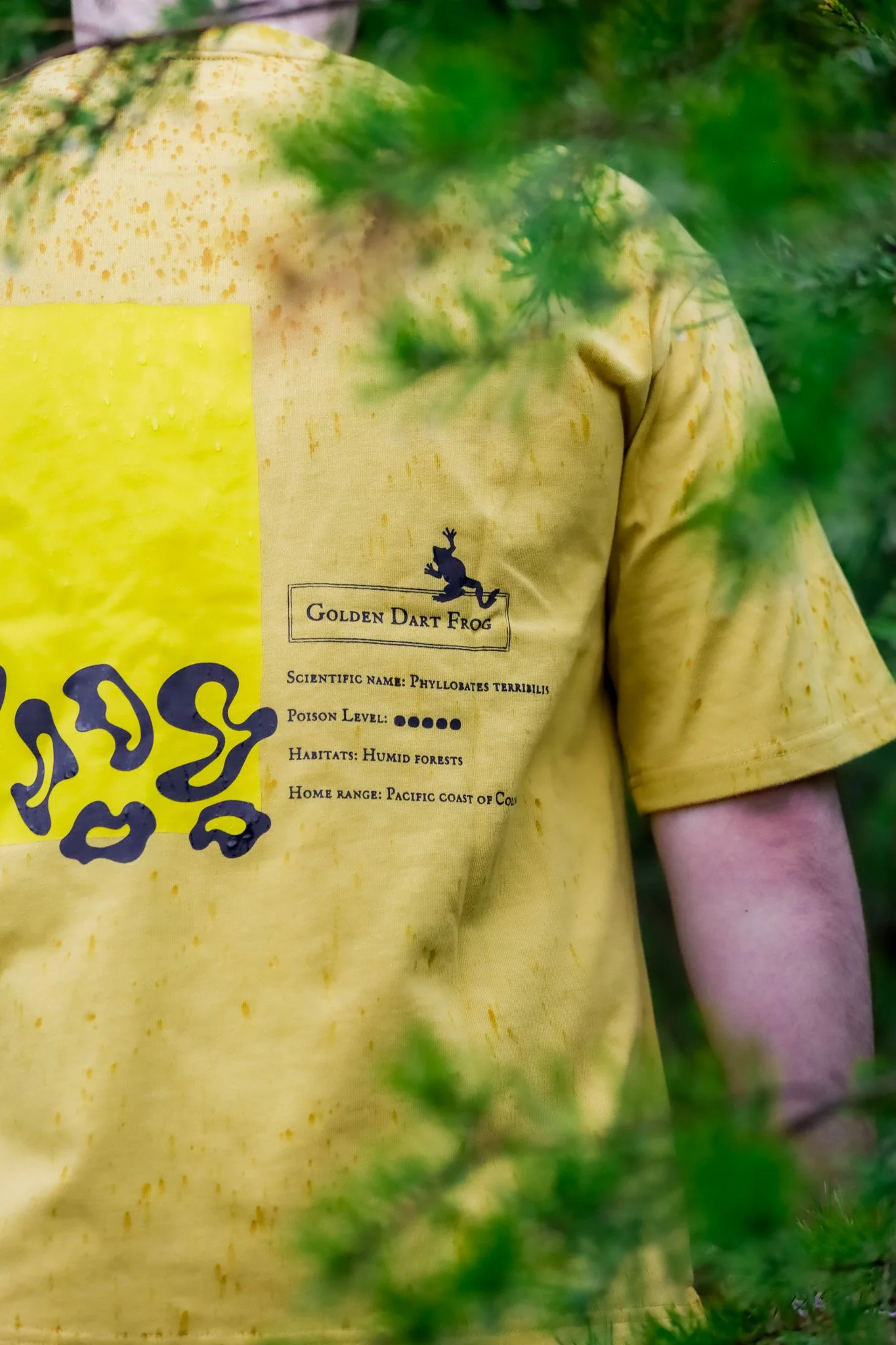 Motivets-4.jpg