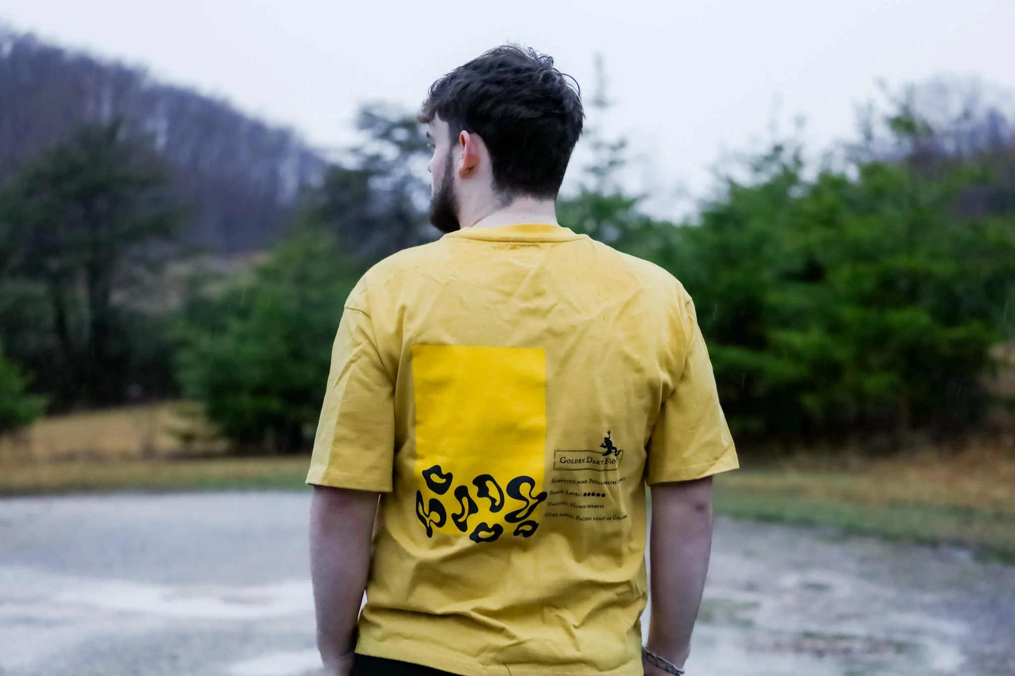 Motivets-11.jpg