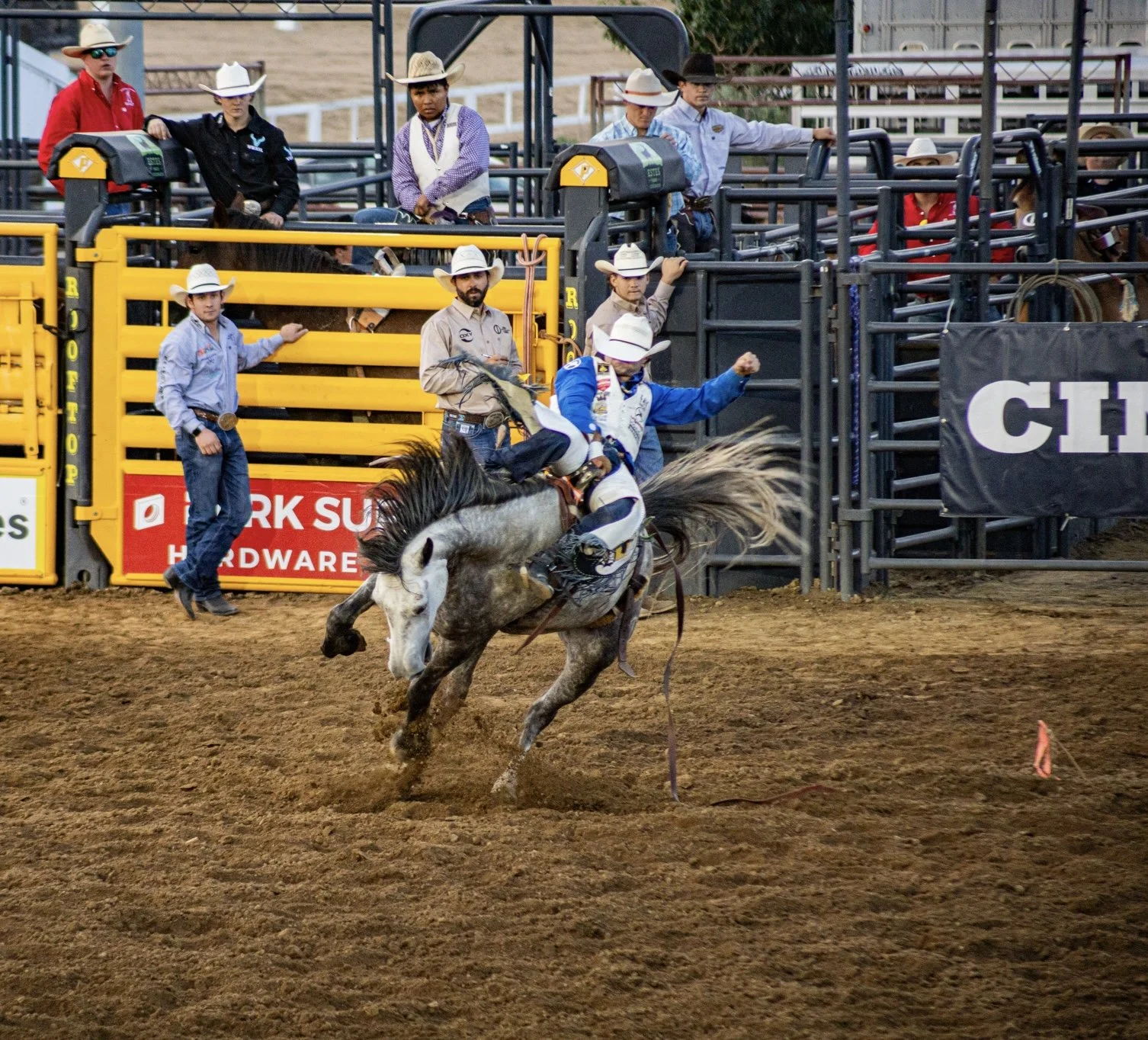RooftopRodeo-37.jpeg
