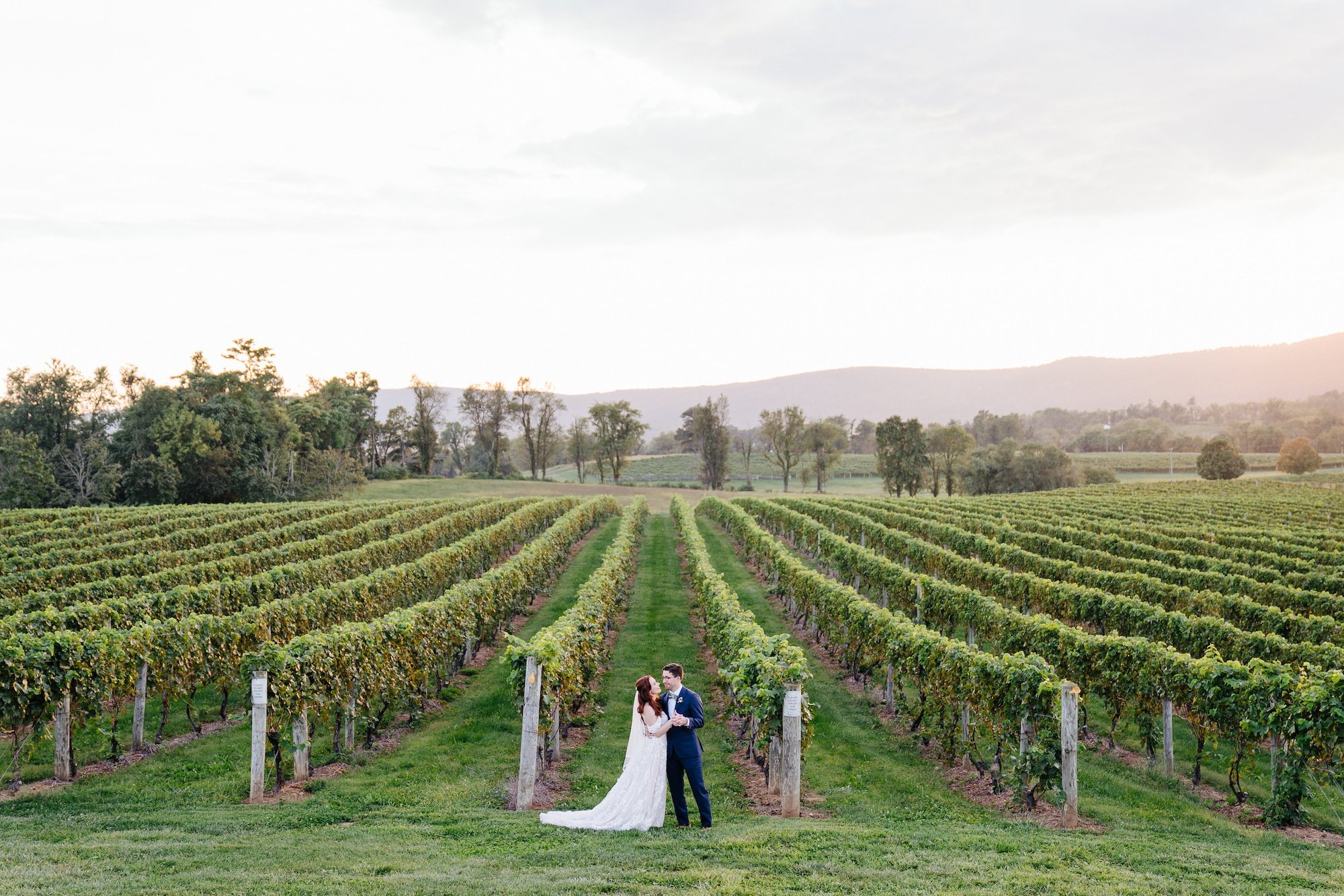 Breaux winery online