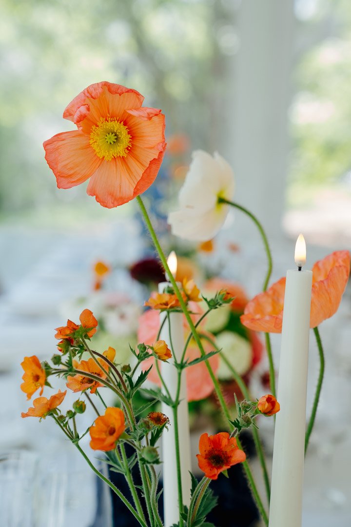 intimate-spring-wedding-woodend-sanctuary-love-life-images 010.JPG