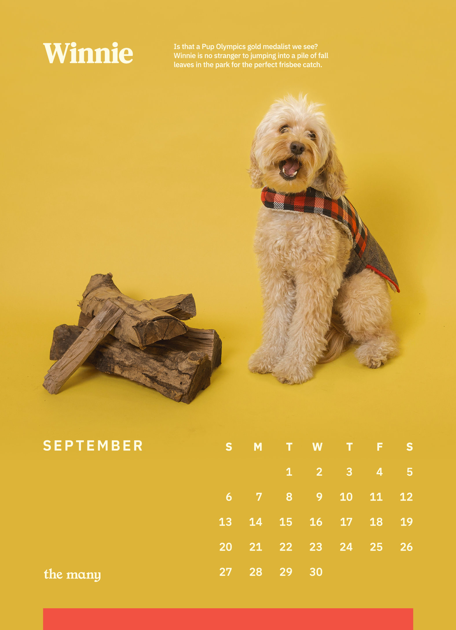 TheMany_Dog_Calendar_2020_5x709_TheMany_DogCalendar_2020_September.png
