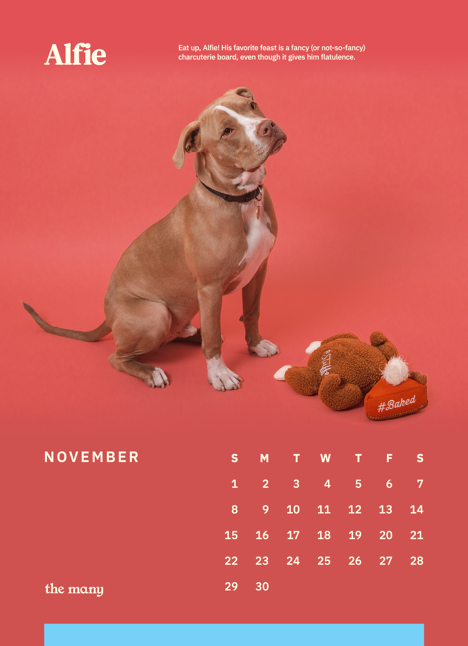 TheMany_Dog_Calendar_2020_5x711_TheMany_DogCalendar_2020_November.png