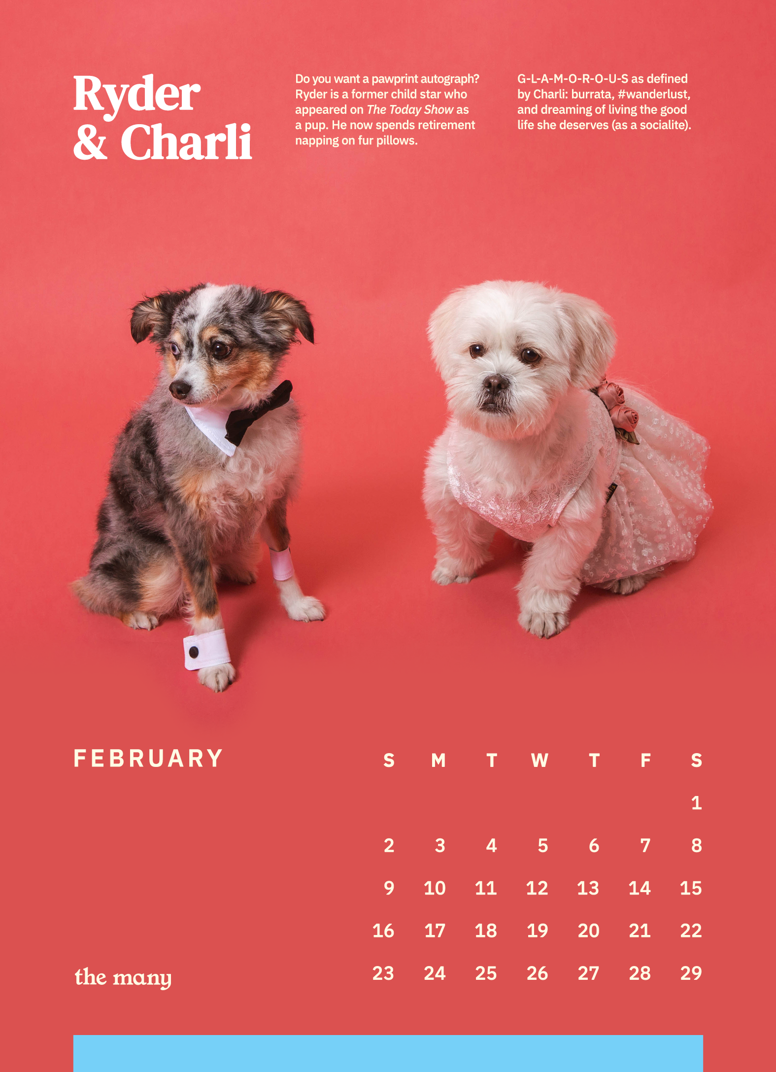 TheMany_Dog_Calendar_2020_5x702_TheMany_DogCalendar_2020_February.png