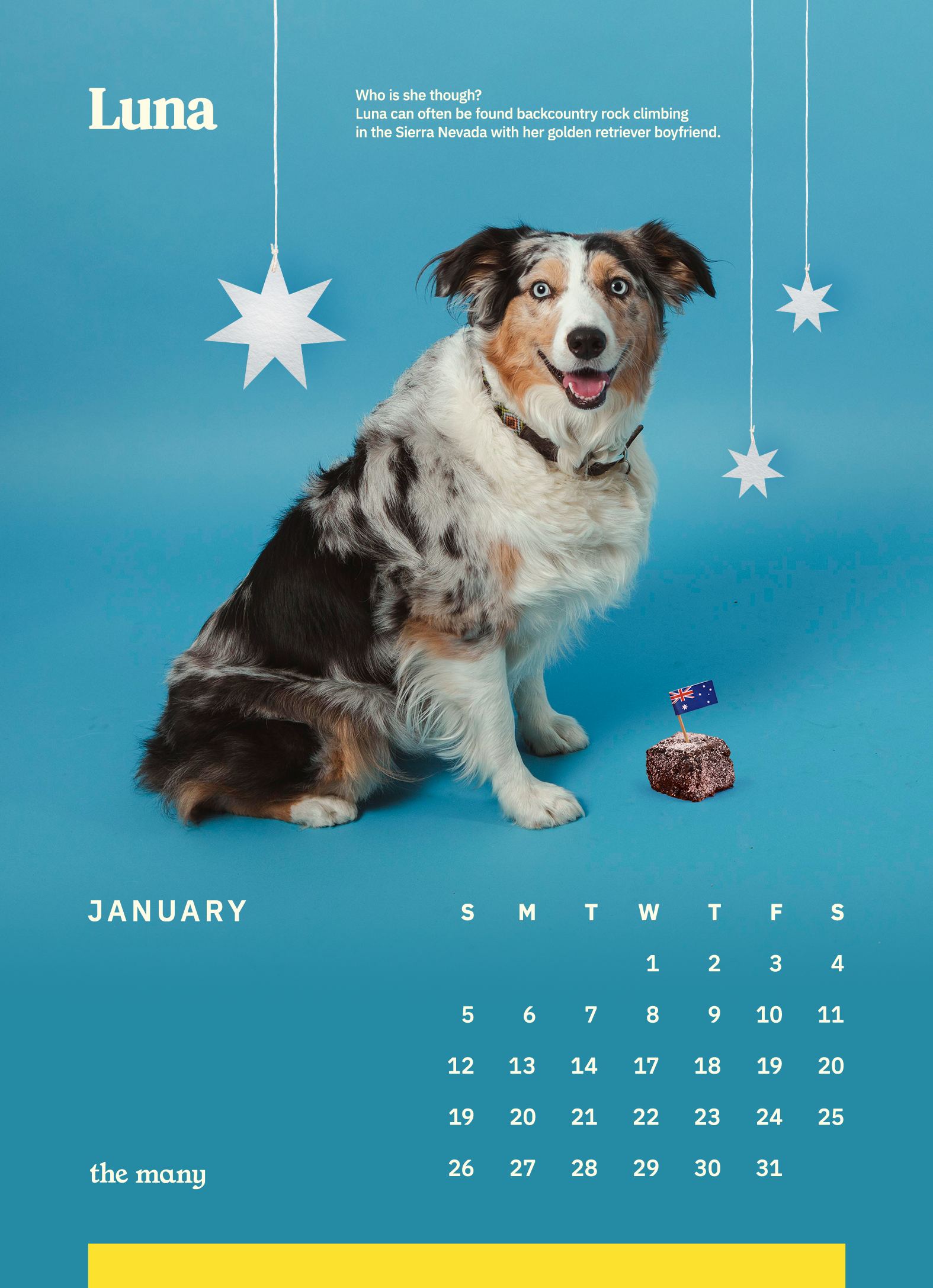 01_TheMany_DogCalendar_2020_January_Luna.png