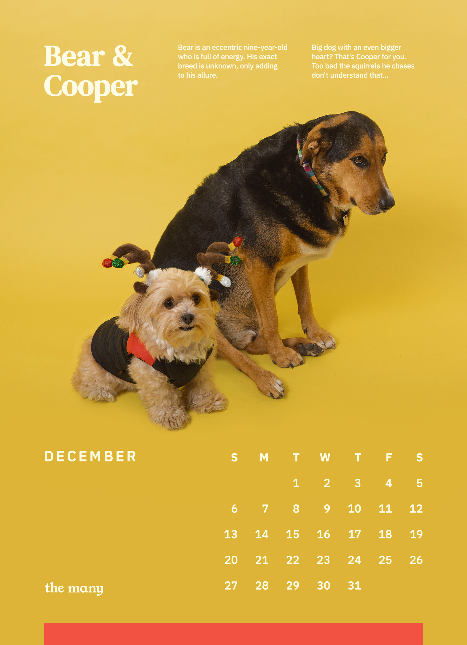 TheMany_Dog_Calendar_2020_5x712_TheMany_DogCalendar_2020_December.png