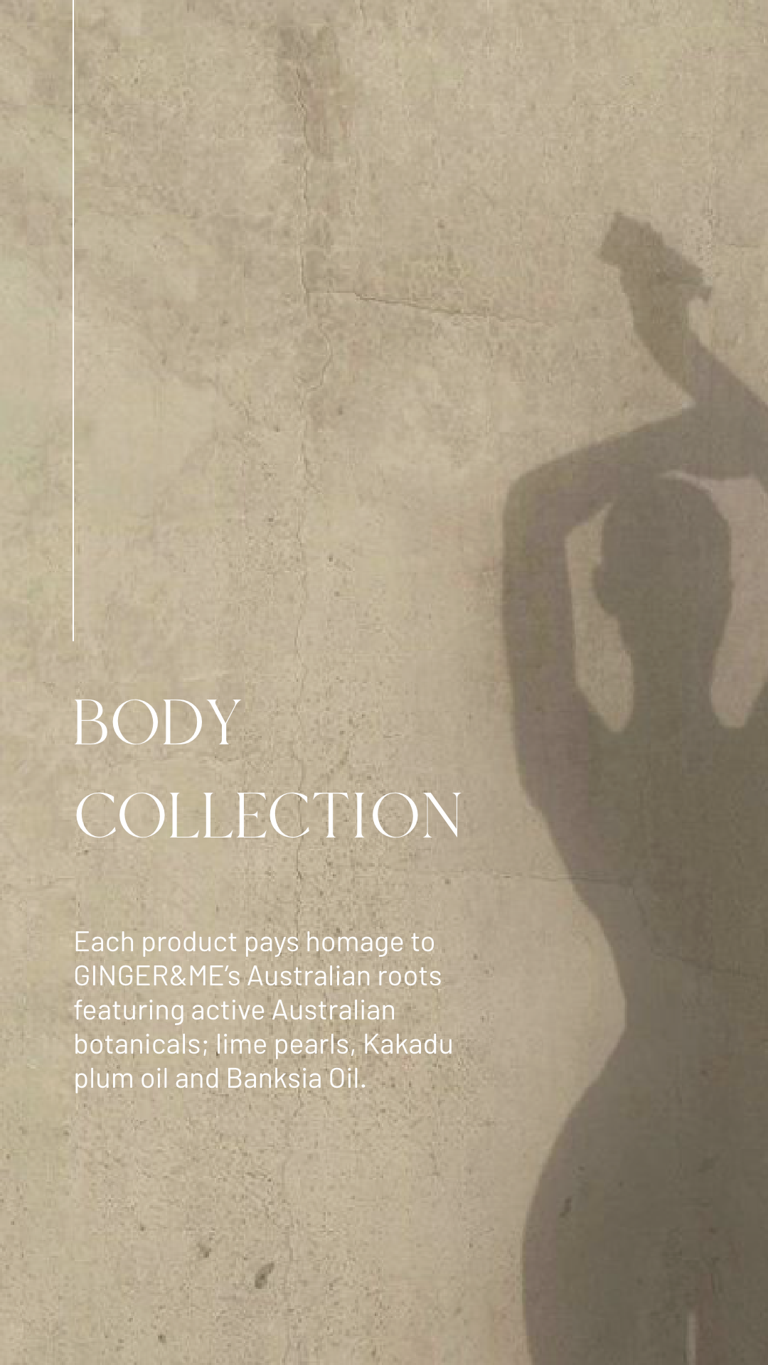 BODY COLLECTION - 1.png