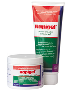 Rapigel.png