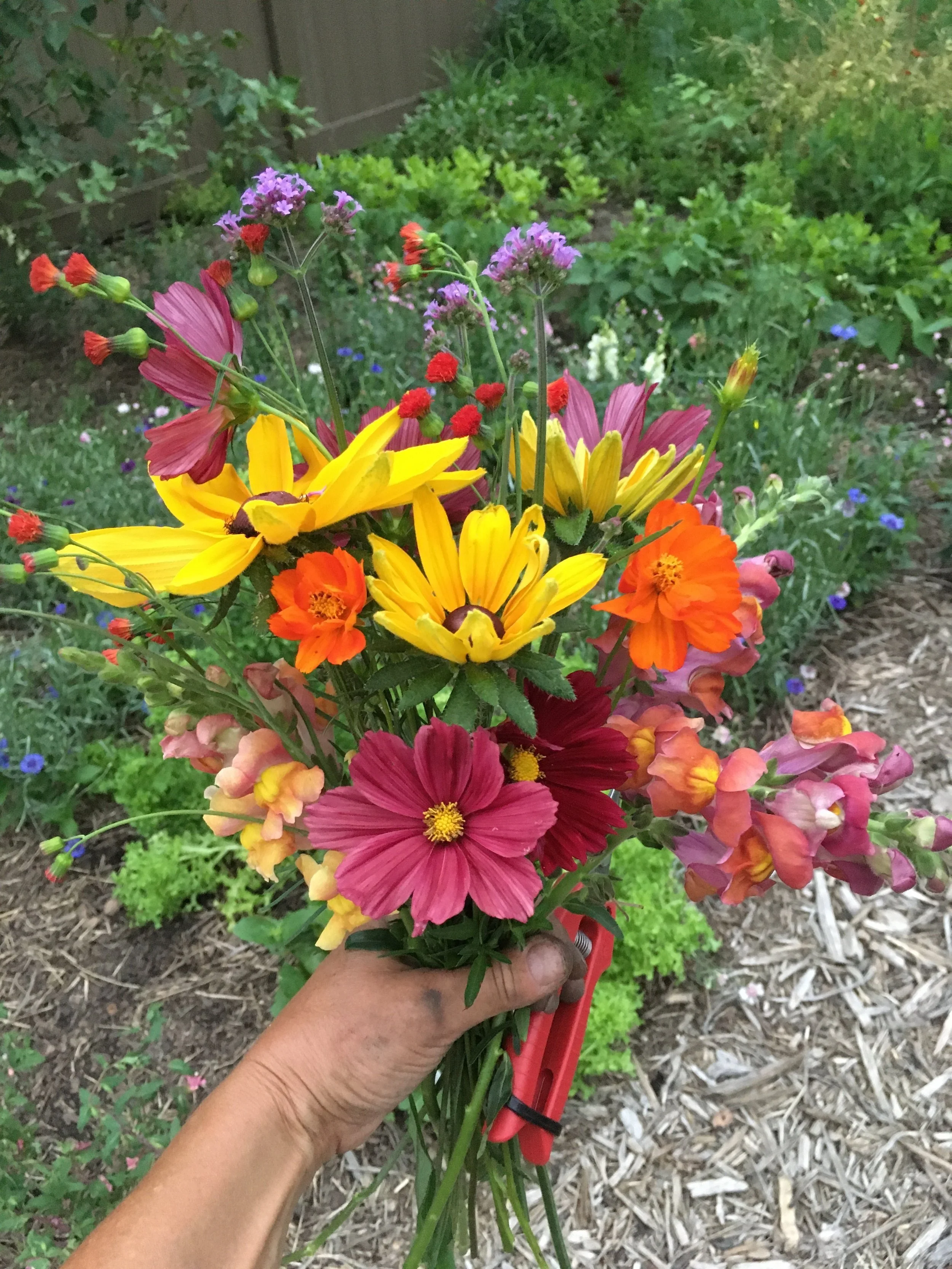 Flower+CSA+2022.jpg
