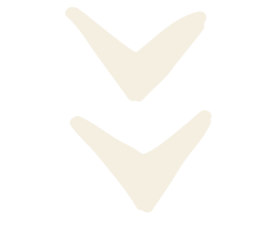 Two white check marks on a black background, one above the other.