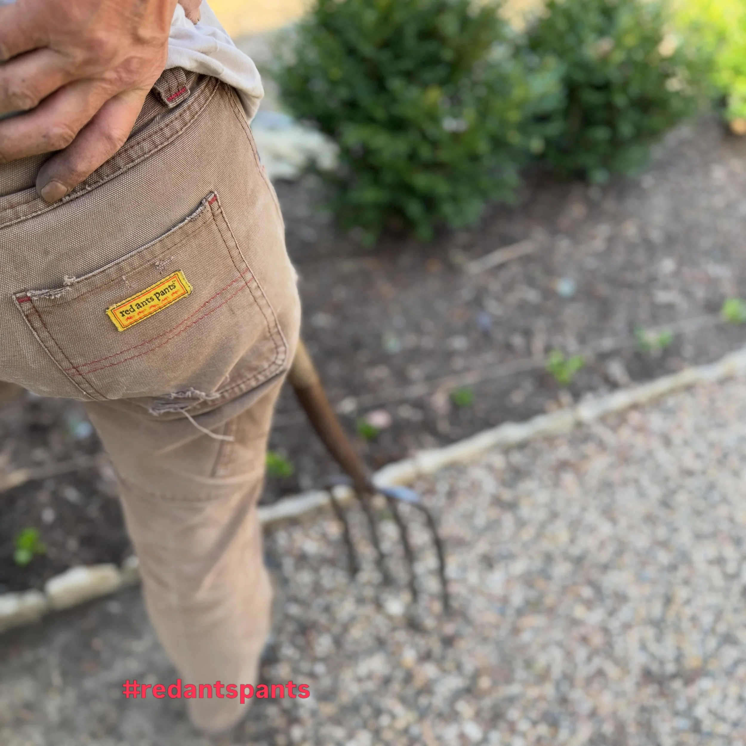My two gardening besties! 

Number one tool? A dividing fork. Not a pitch fork with fine-pointed tines, but sturdy flat tines used for digging. Bonus! It was a gift from a long-time gardener that can&rsquo;t use it anymore. 🤗

And what can I say abo