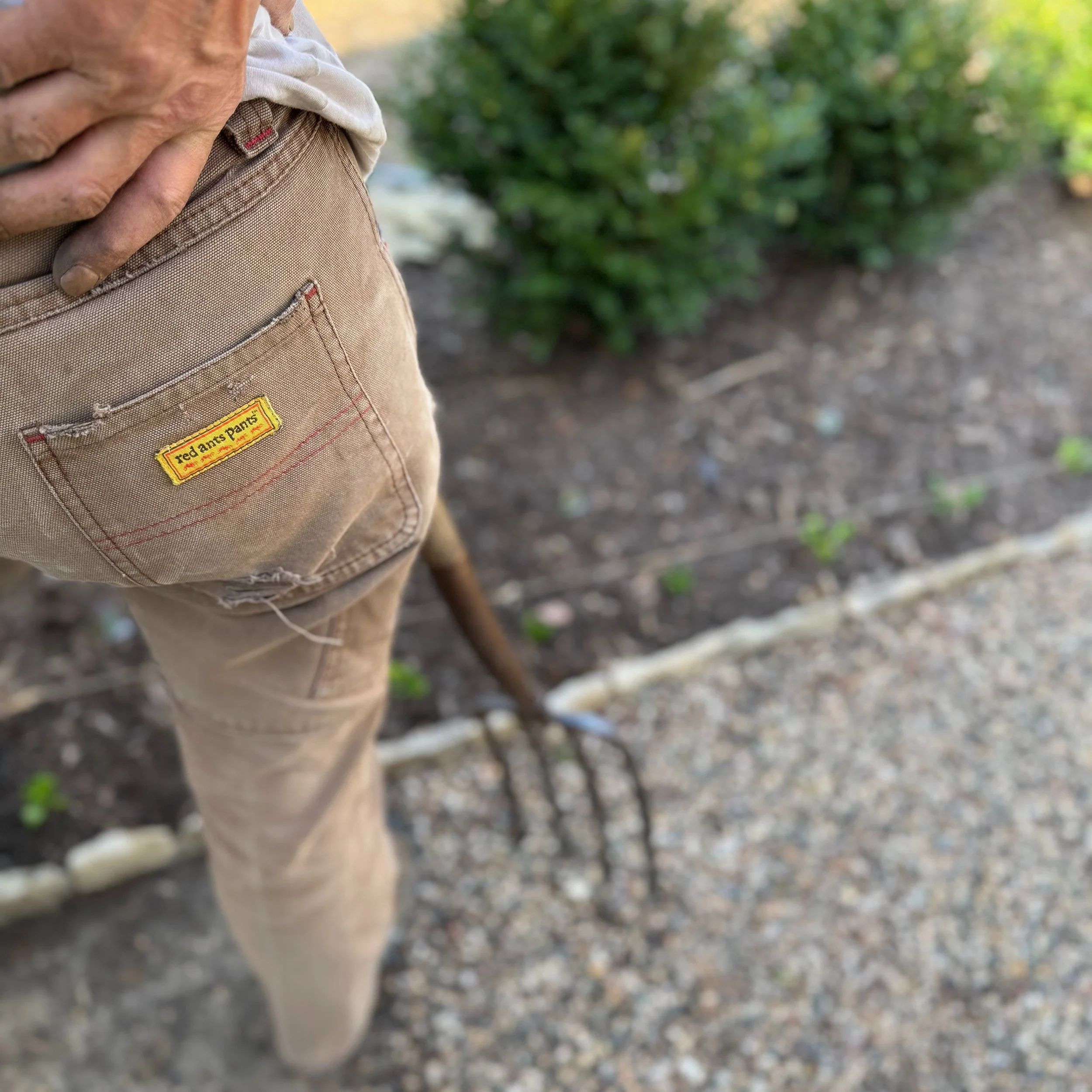 Close-up of a person wearing tan work pants with a yellow and red patch that reads 'Red Ants Pants' in an outdoor setting with a dirt ground and green foliage in the background.