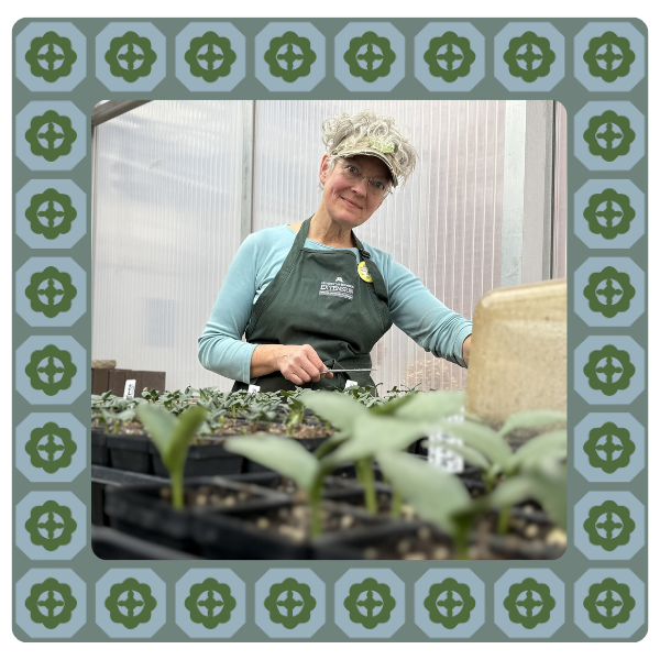 A woman with curly gray hair wearing a light blue long-sleeve shirt, a dark apron, and a cap, working with seedlings inside a greenhouse.