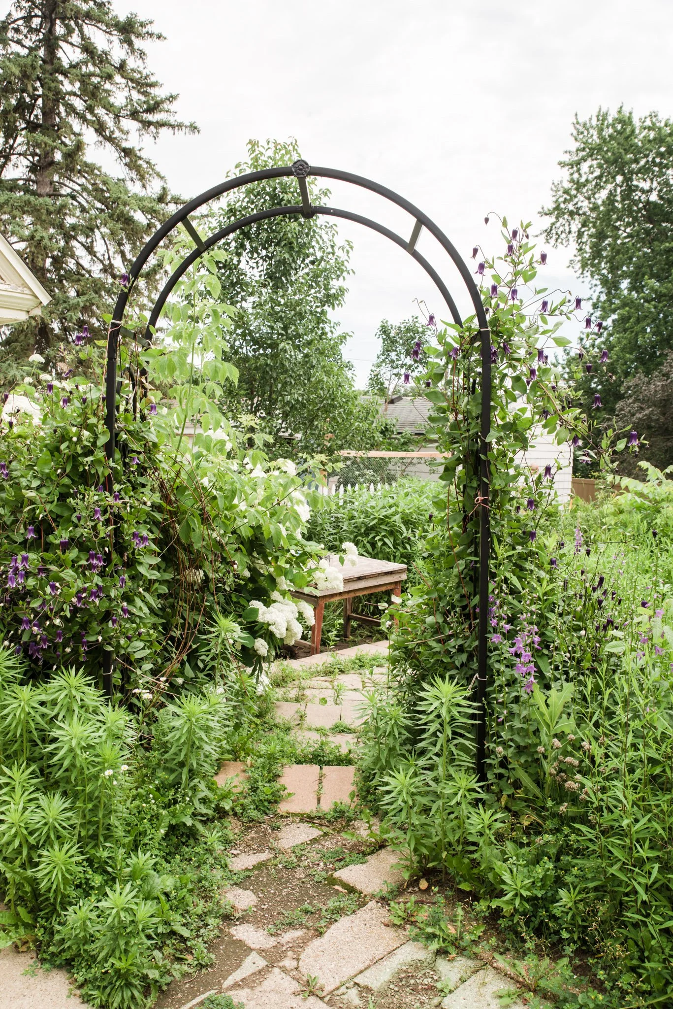 A garden path with stepping stones surrounded by lush green plants, leading through a black metal garden archway covered with purple flowers, and trees in the background.