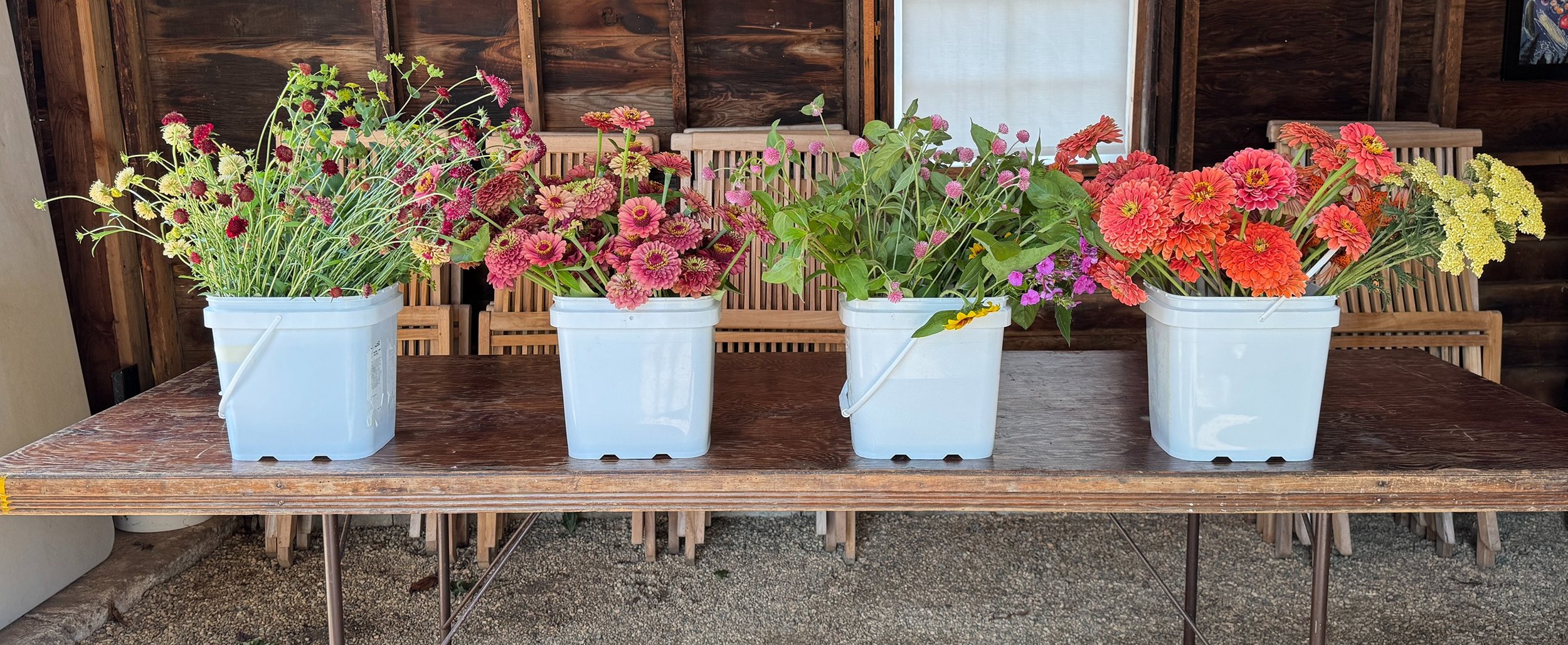 Four white buckets with flowers placed on a wooden table with chairs in the background.