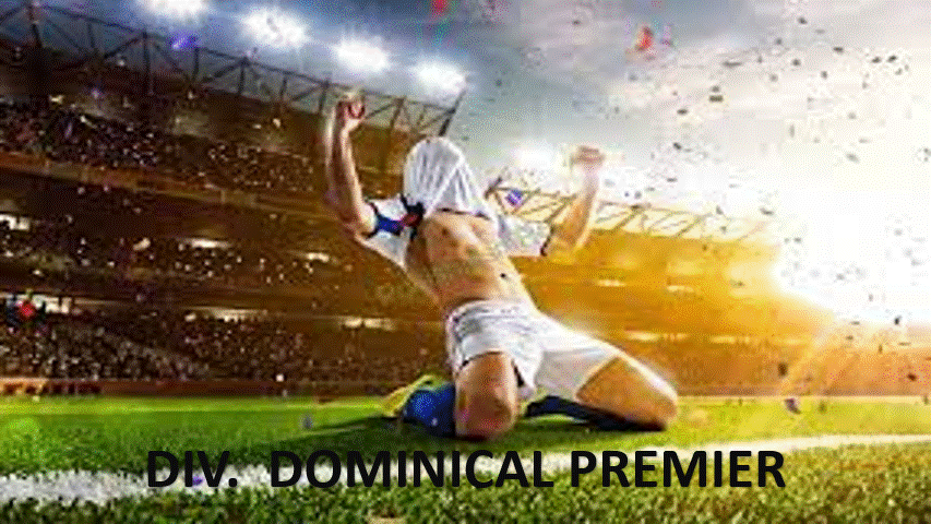 DOM PREMIER LOGO.gif