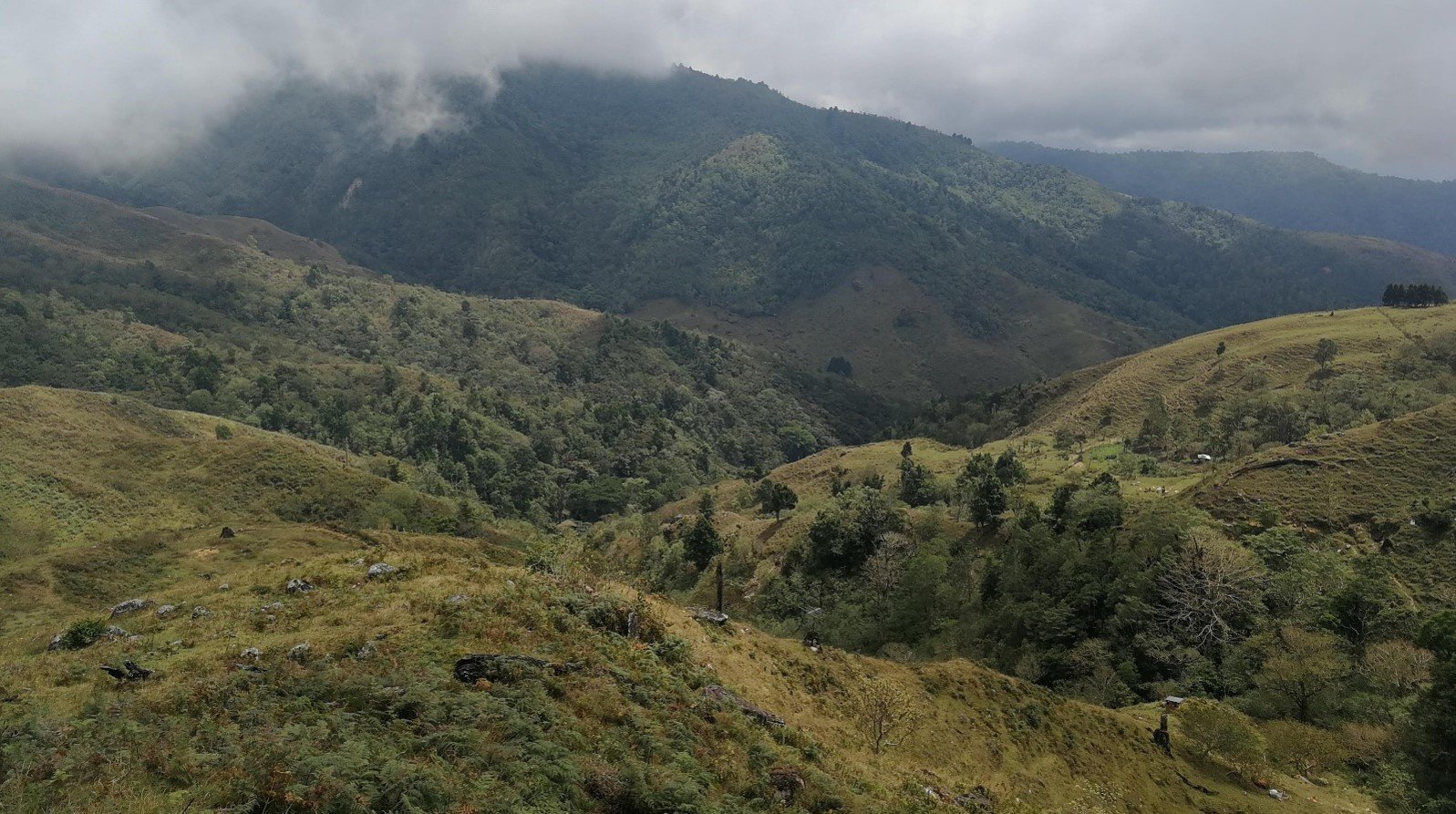 Deforestation upper basin Rio Volcan