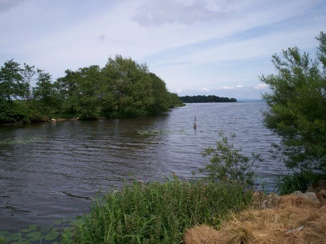 A lakeside scene with calm water, green trees along the bank, and a cloudy sky overhead.