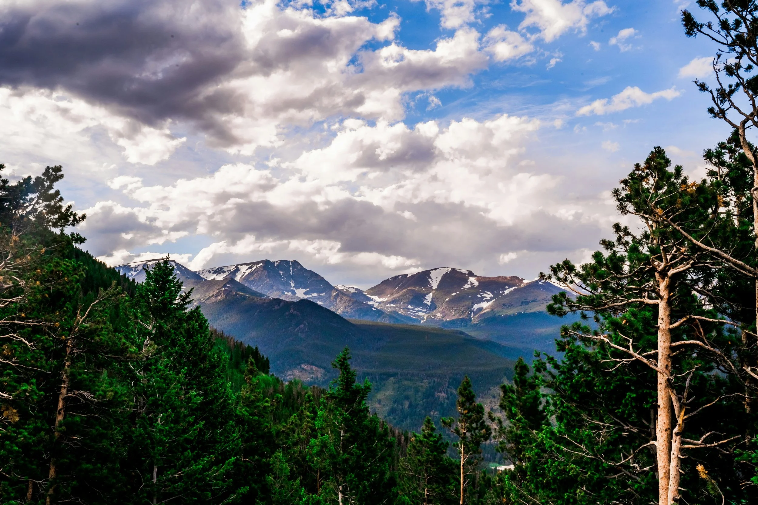 Scenic landscape featuring pine trees in the foreground, snow-capped mountains in the distance, and a partly cloudy sky with patches of blue.