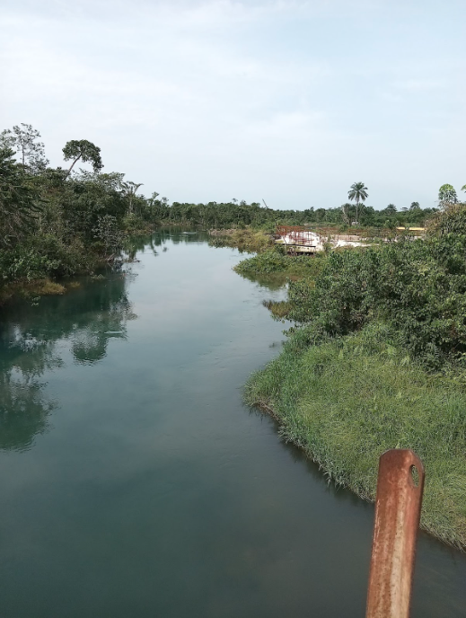 A calm river flowing through a lush green landscape with trees and bushes on either side and a few boats and buildings visible in the distance under a cloudy sky.