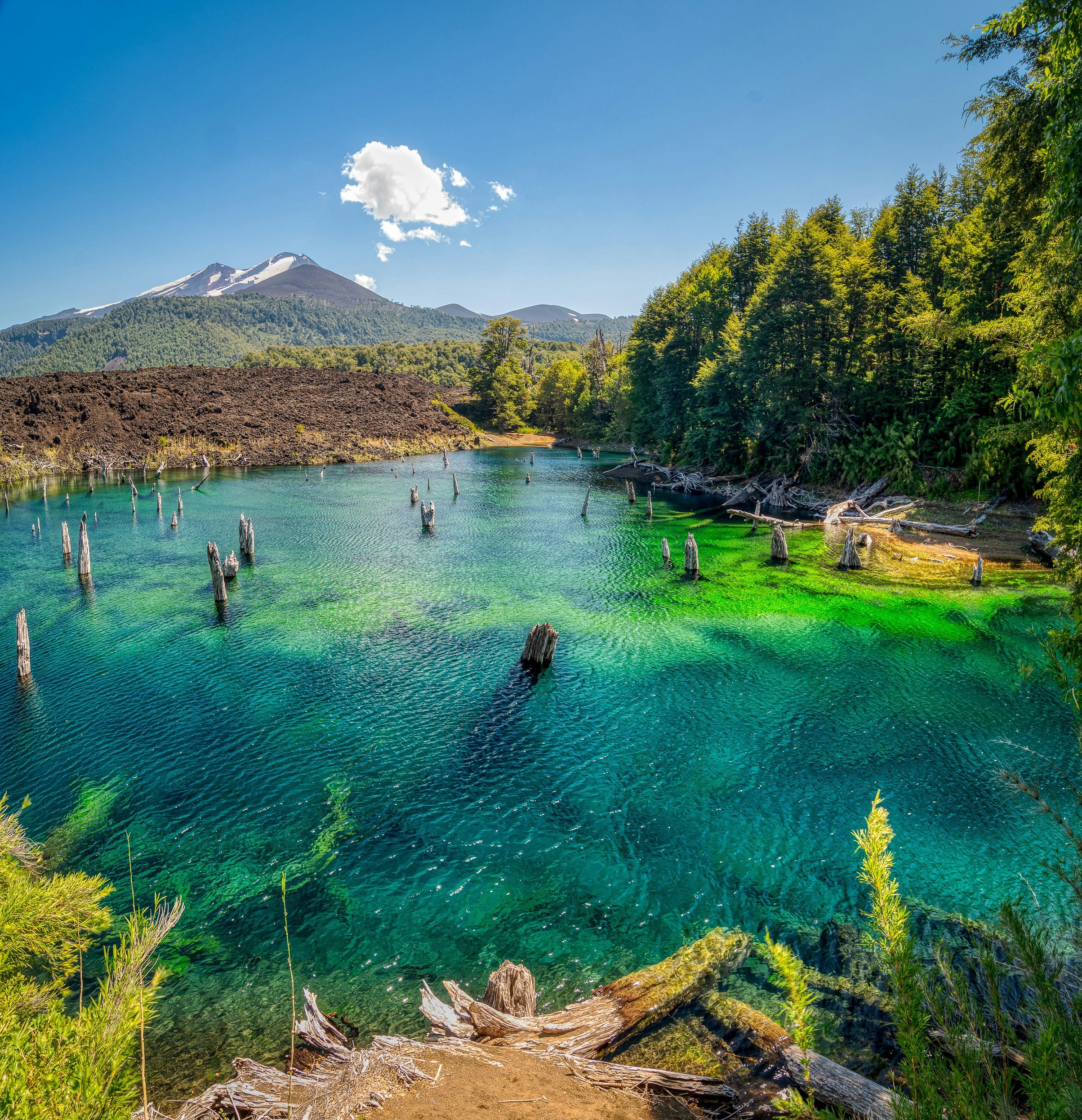 A serene mountain landscape featuring a clear, greenish lake in the foreground, surrounded by lush green trees and vegetation, with snow-capped mountains and a blue sky with a few clouds in the background.