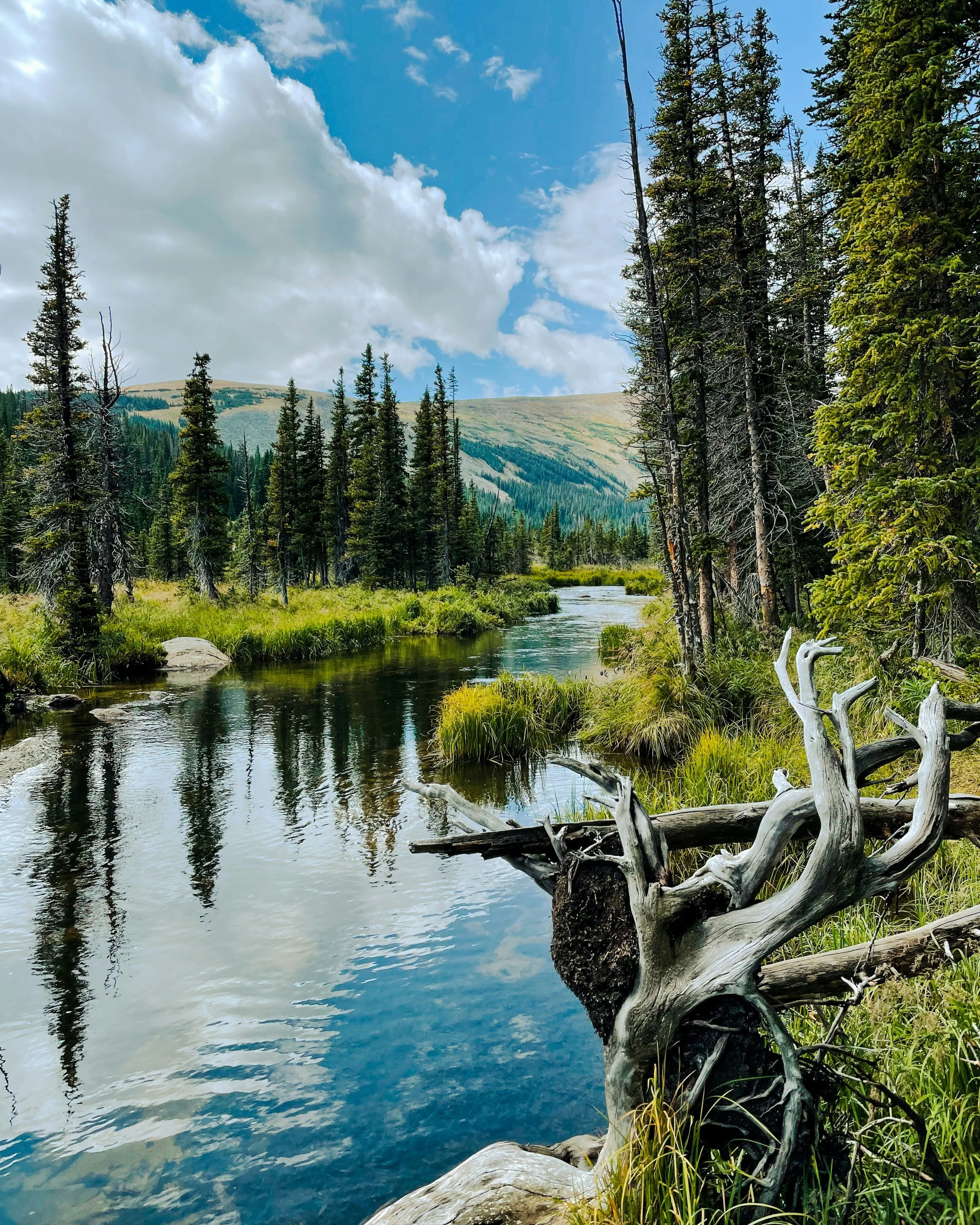 A serene mountain landscape featuring a calm river in the foreground, tall evergreen trees on either side, rolling hills in the background, and a partly cloudy sky above.