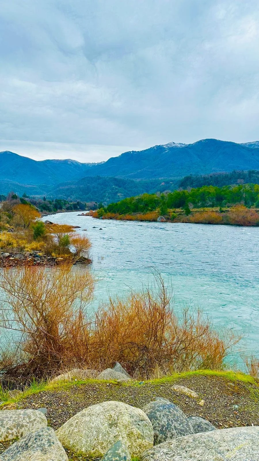 Scenic landscape with a flowing river, green trees, and mountain range under a cloudy sky.