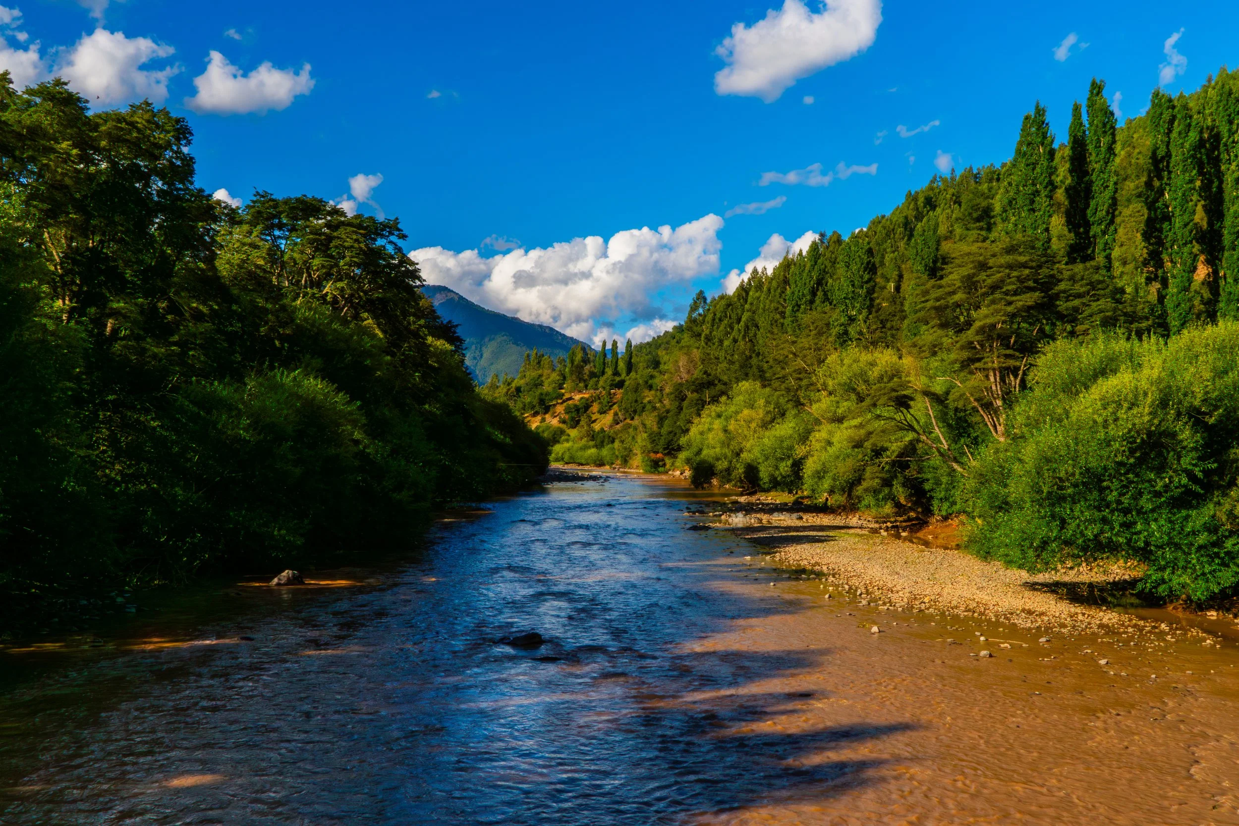 A river flowing through a lush green forest with mountains and a bright blue sky with fluffy clouds in the background.