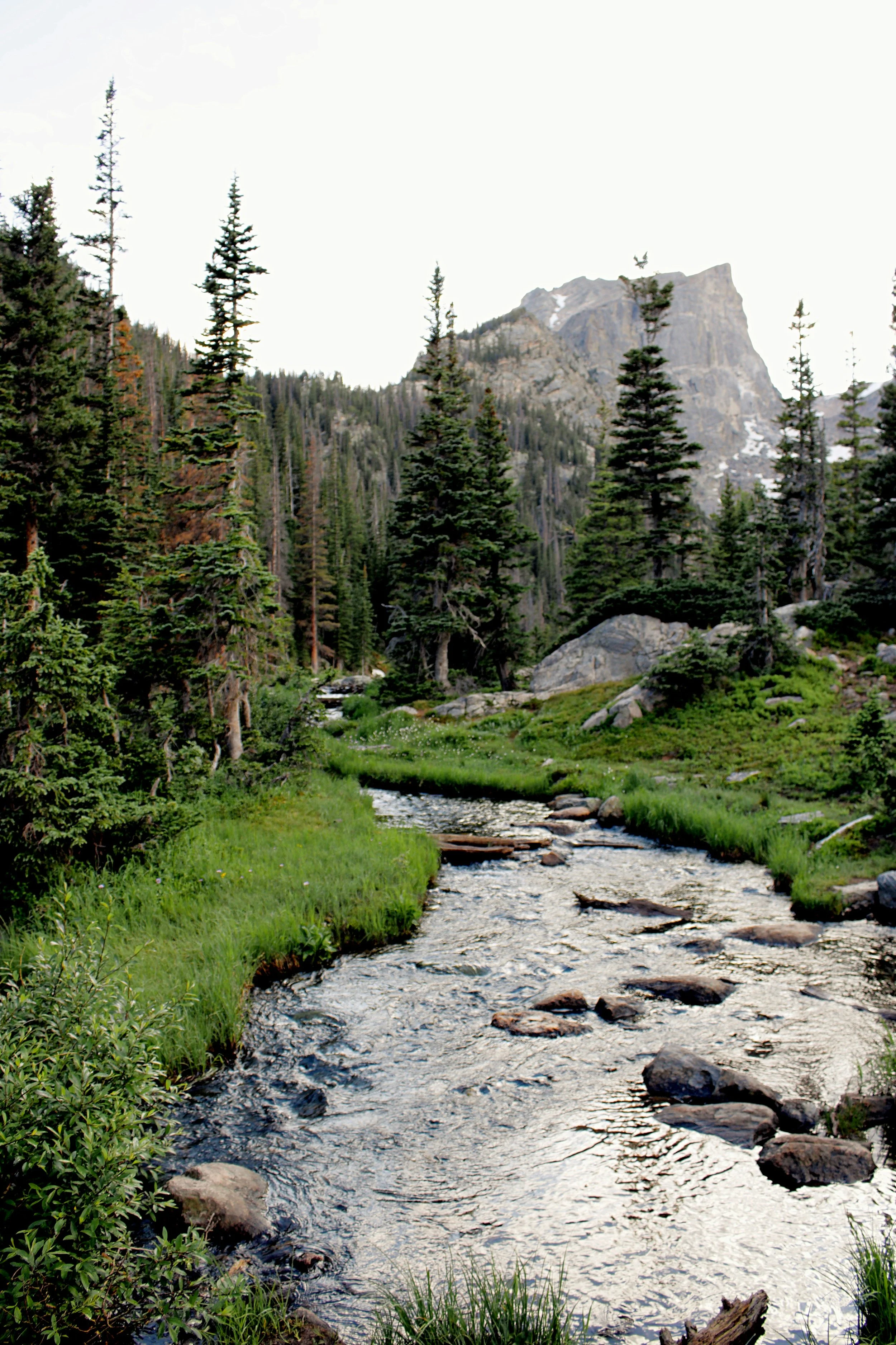 A mountain landscape with a flowing stream, dense evergreen trees, rocky terrain, and a snow-capped mountain peak in the background.