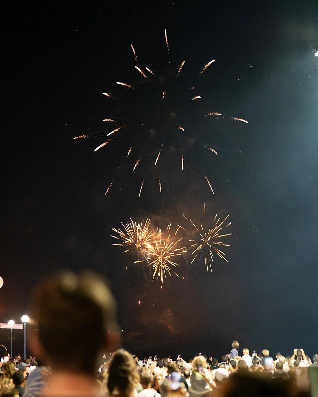 [image] - 557365.jpg