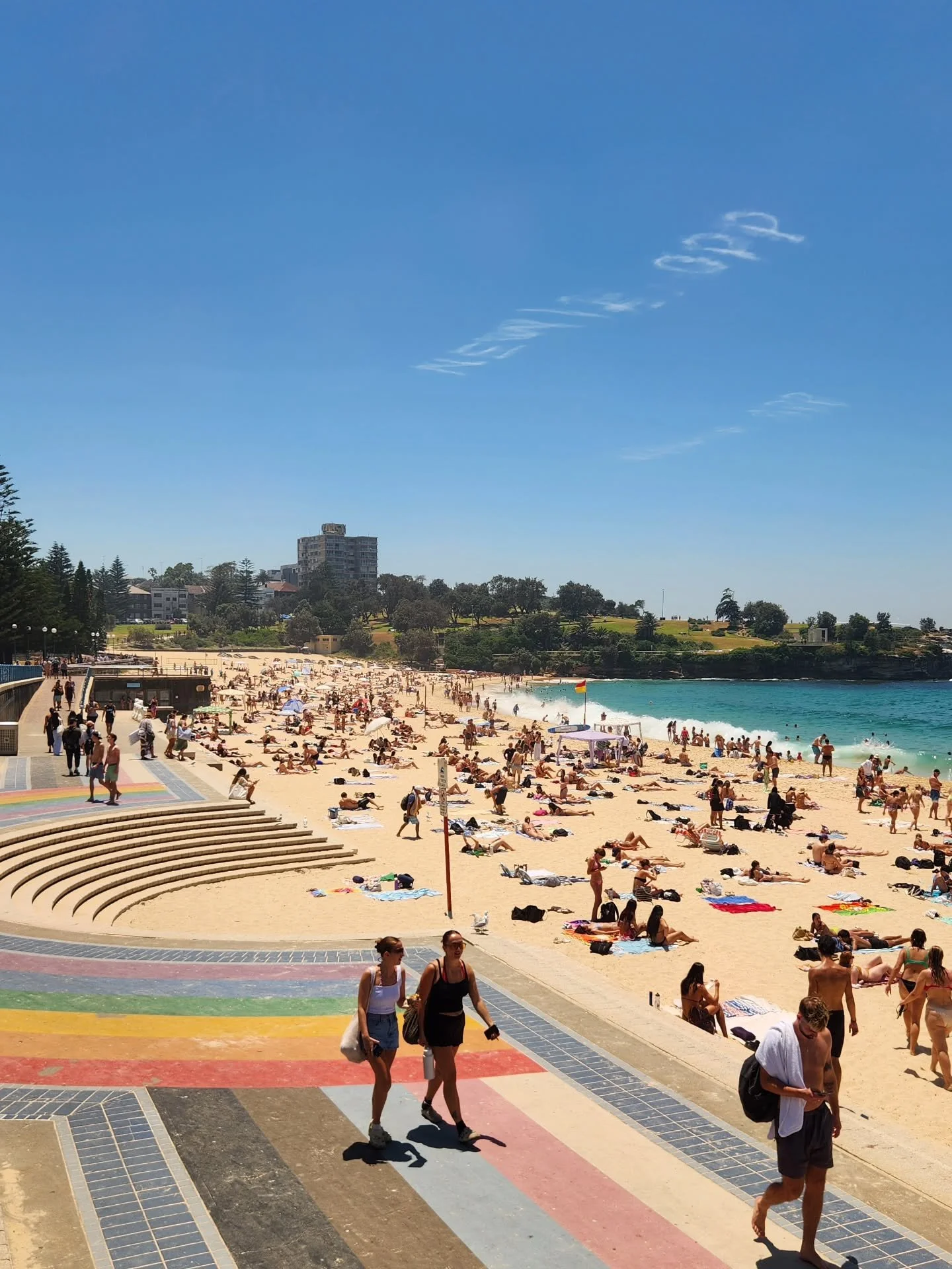 [image] - 7271641.jpg